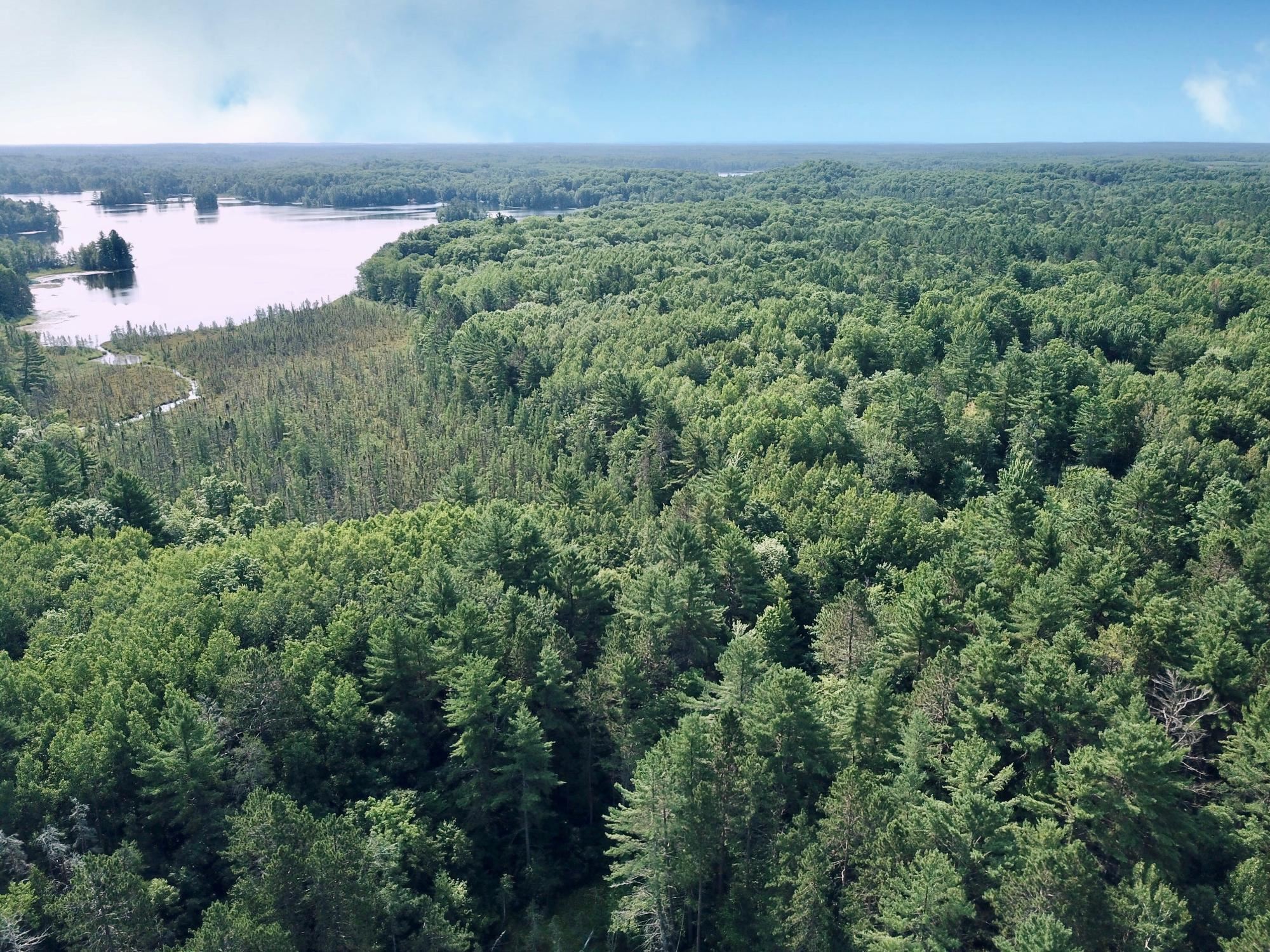 On OAK RIDGE ROAD, Harshaw, Wisconsin 54529, ,Land,For Sale,On OAK RIDGE ROAD,22603670