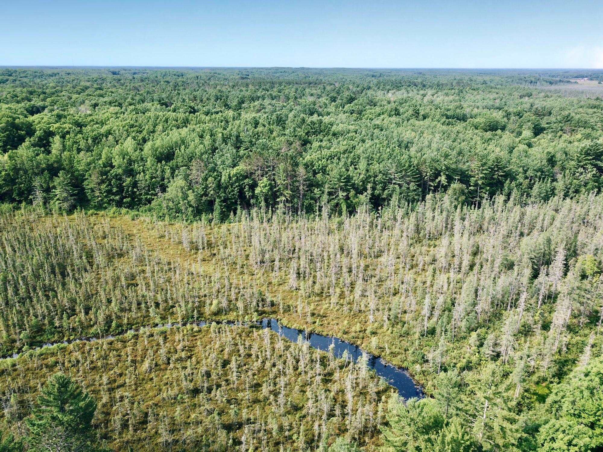 On OAK RIDGE ROAD, Harshaw, Wisconsin 54529, ,Land,For Sale,On OAK RIDGE ROAD,22603670