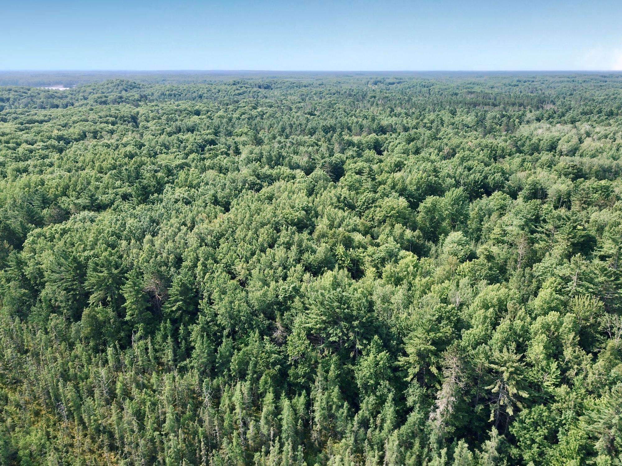 On OAK RIDGE ROAD, Harshaw, Wisconsin 54529, ,Land,For Sale,On OAK RIDGE ROAD,22603670