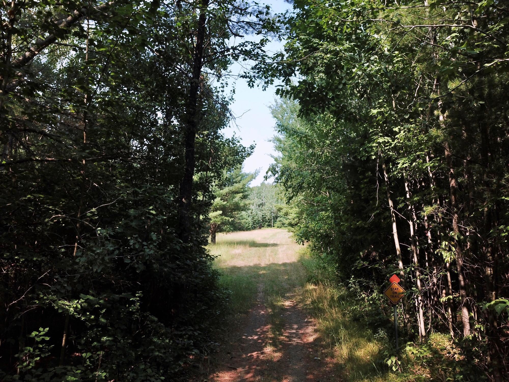 On OAK RIDGE ROAD, Harshaw, Wisconsin 54529, ,Land,For Sale,On OAK RIDGE ROAD,22603670