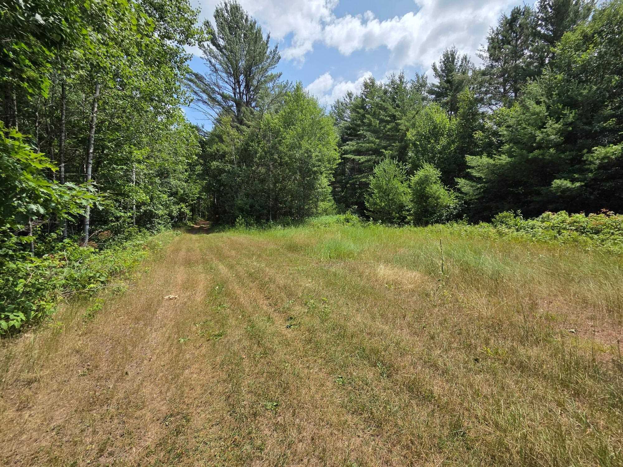 On OAK RIDGE ROAD, Harshaw, Wisconsin 54529, ,Land,For Sale,On OAK RIDGE ROAD,22603670