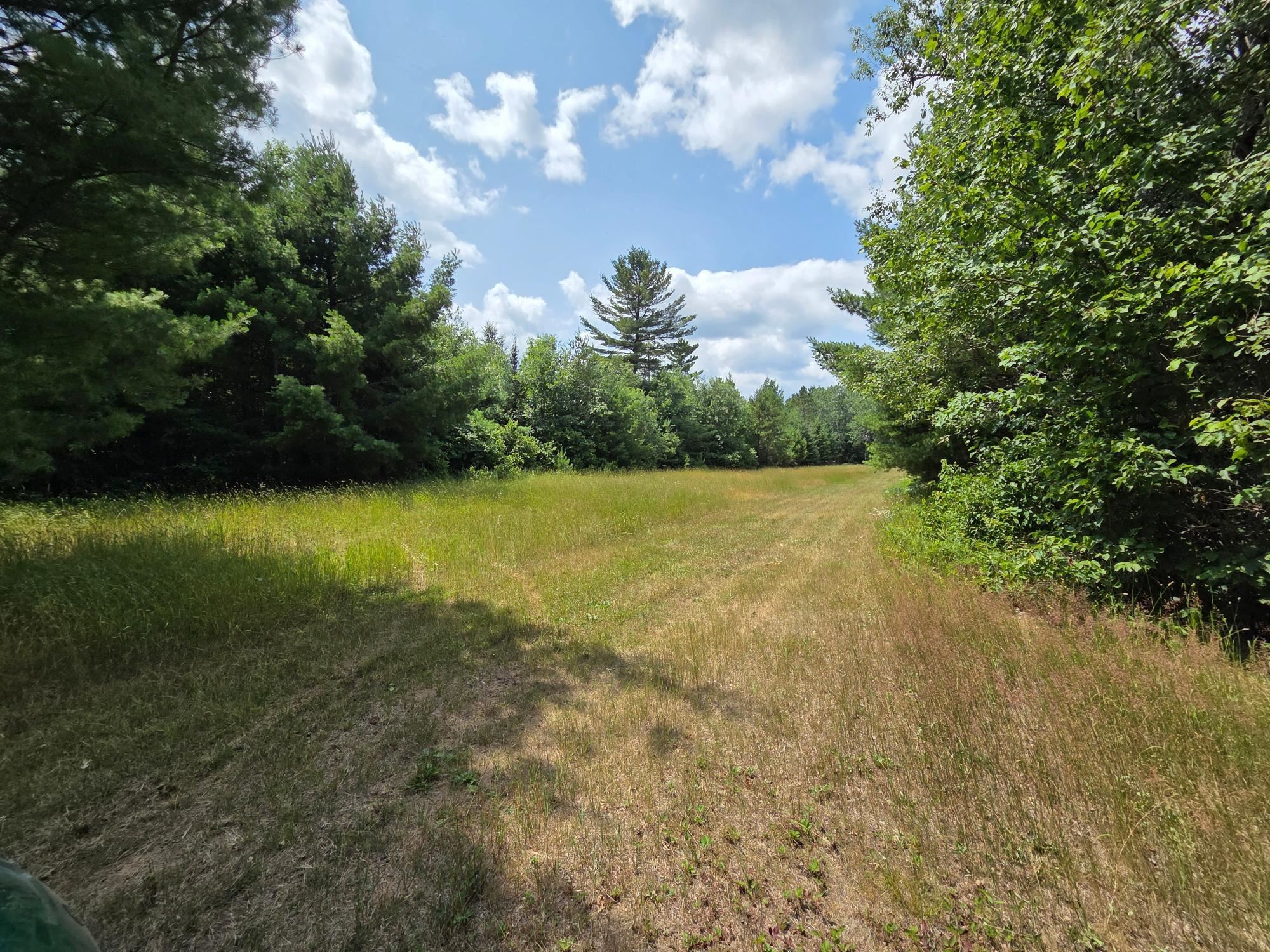 On OAK RIDGE ROAD, Harshaw, Wisconsin 54529, ,Land,For Sale,On OAK RIDGE ROAD,22603670