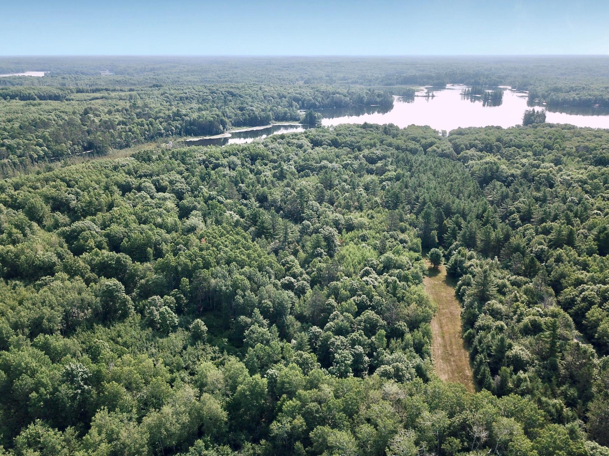 On OAK RIDGE ROAD, Harshaw, Wisconsin 54529, ,Land,For Sale,On OAK RIDGE ROAD,22603670