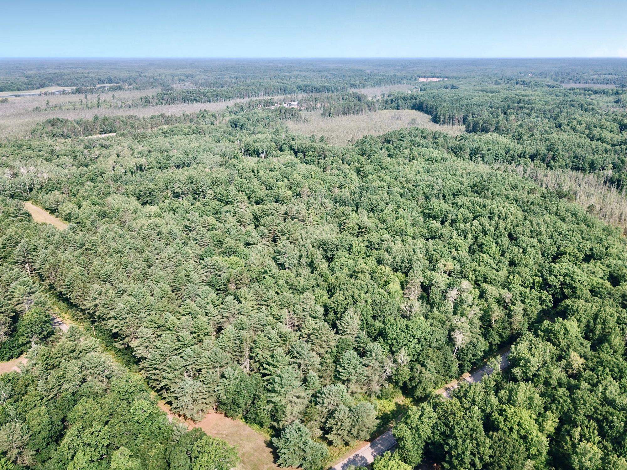 On OAK RIDGE ROAD, Harshaw, Wisconsin 54529, ,Land,For Sale,On OAK RIDGE ROAD,22603670