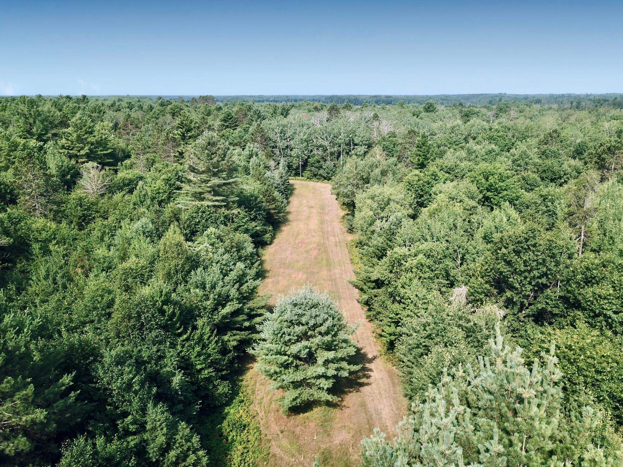 On OAK RIDGE ROAD, Harshaw, Wisconsin 54529, ,Land,For Sale,On OAK RIDGE ROAD,22603670