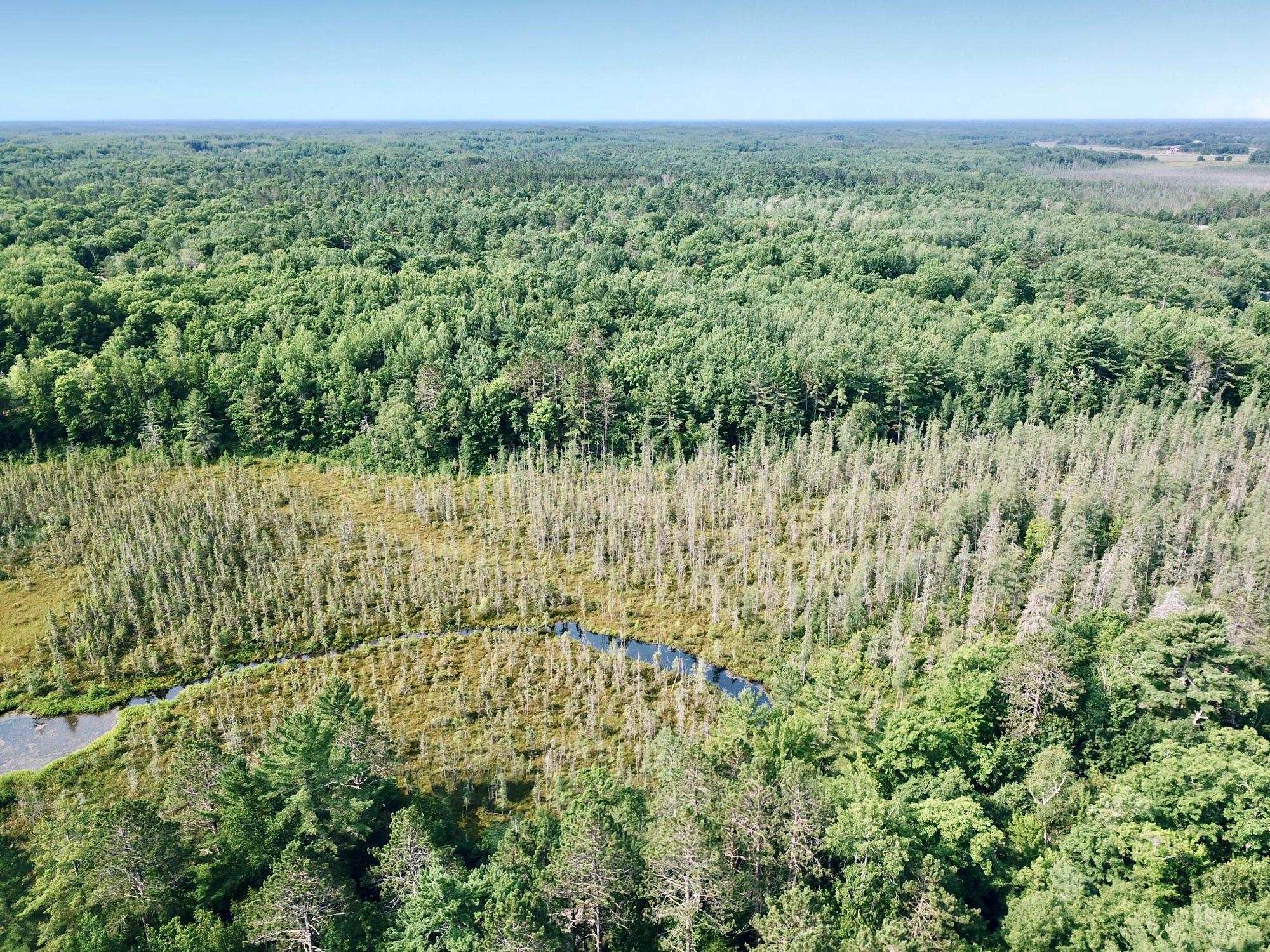 On OAK RIDGE ROAD, Harshaw, Wisconsin 54529, ,Land,For Sale,On OAK RIDGE ROAD,22603670
