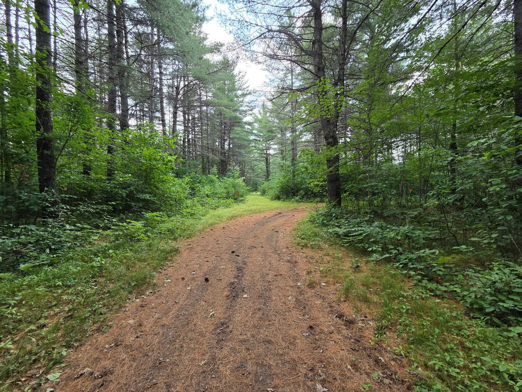 On OAK RIDGE ROAD, Harshaw, Wisconsin 54529, ,Land,For Sale,On OAK RIDGE ROAD,22603670