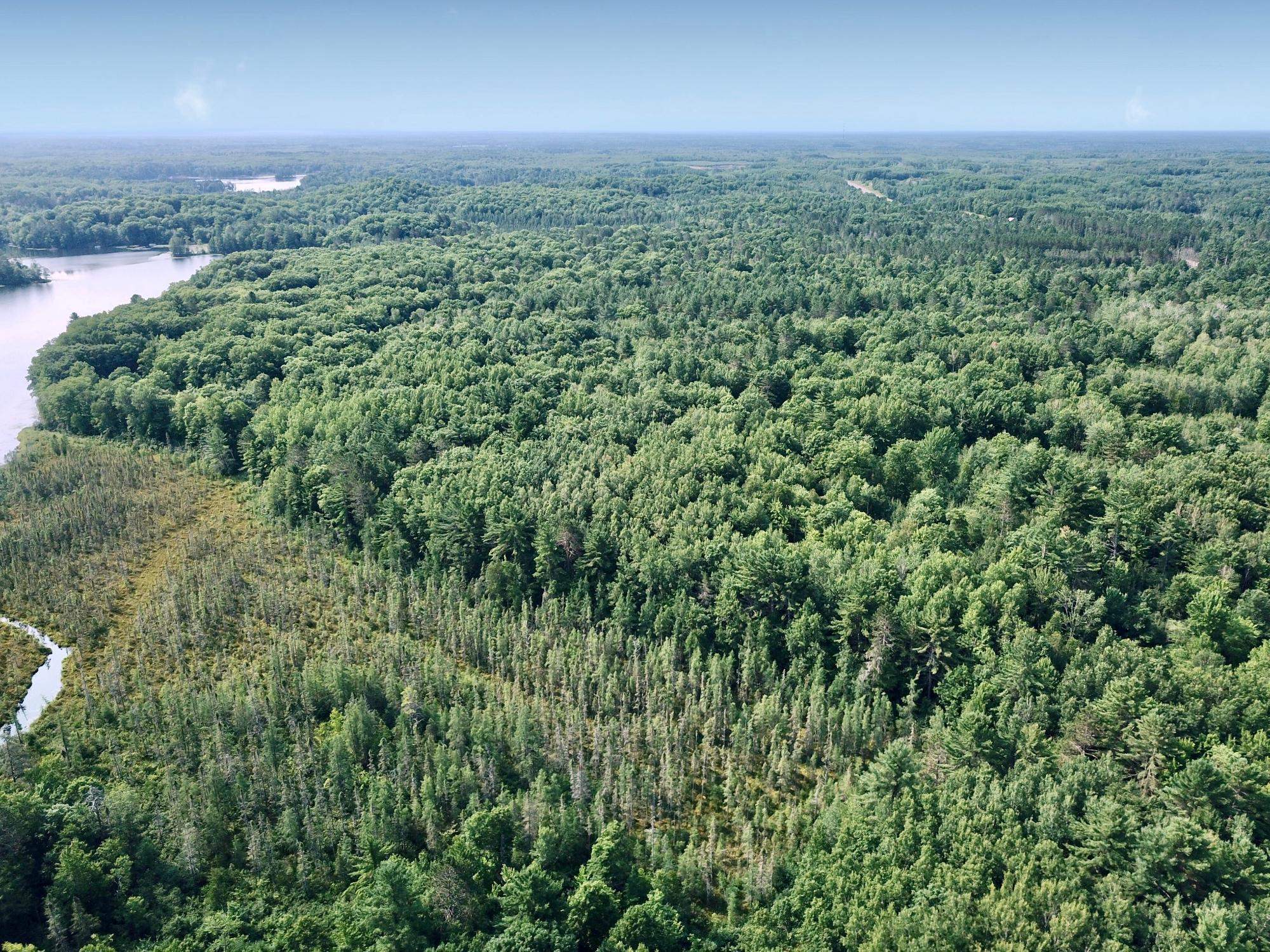 On OAK RIDGE ROAD, Harshaw, Wisconsin 54529, ,Land,For Sale,On OAK RIDGE ROAD,22603670