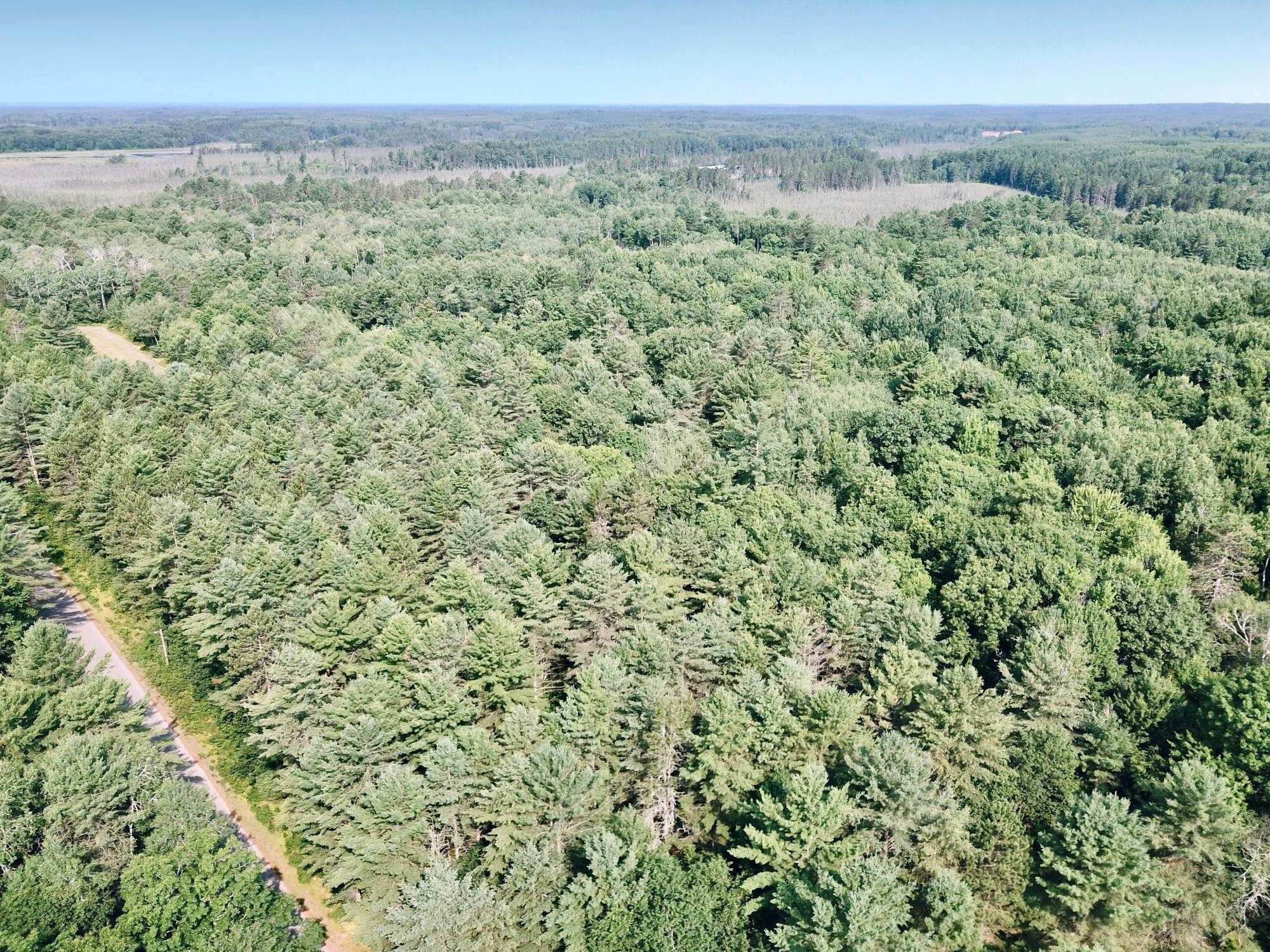 On OAK RIDGE ROAD, Harshaw, Wisconsin 54529, ,Land,For Sale,On OAK RIDGE ROAD,22603670