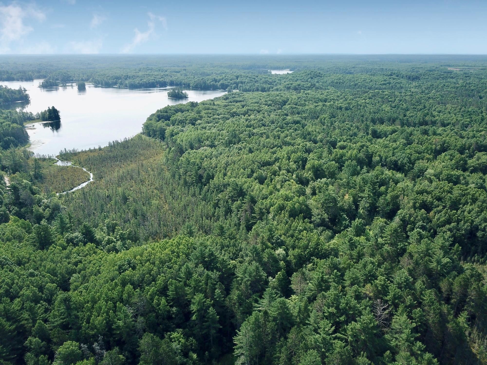 On OAK RIDGE ROAD, Harshaw, Wisconsin 54529, ,Land,For Sale,On OAK RIDGE ROAD,22603670