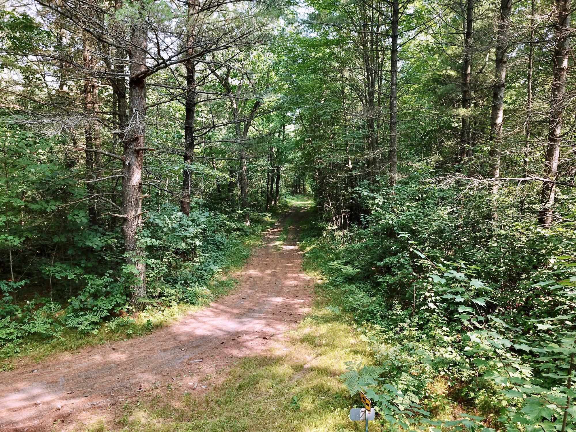 On OAK RIDGE ROAD, Harshaw, Wisconsin 54529, ,Land,For Sale,On OAK RIDGE ROAD,22603670