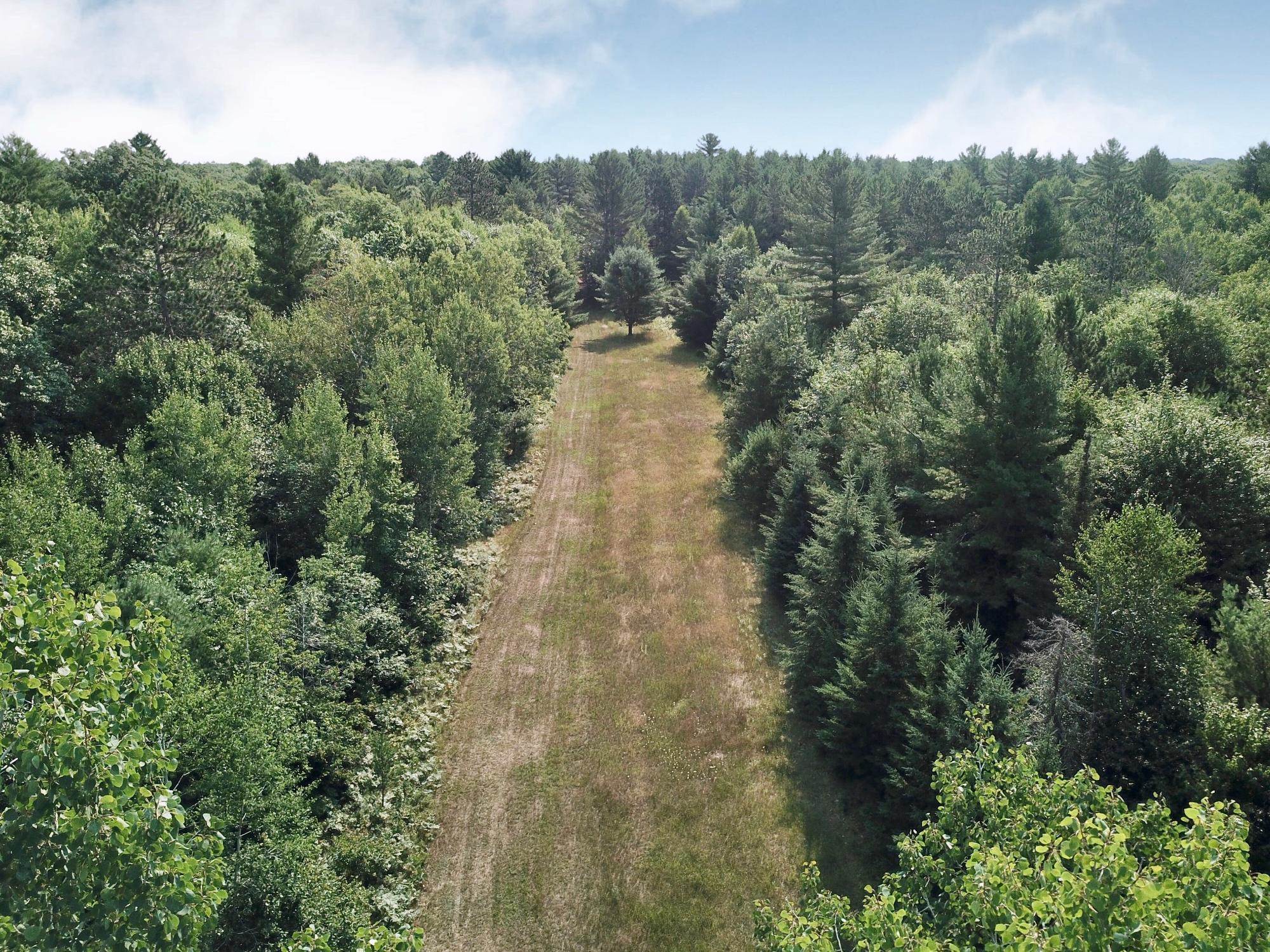 On OAK RIDGE ROAD, Harshaw, Wisconsin 54529, ,Land,For Sale,On OAK RIDGE ROAD,22603670