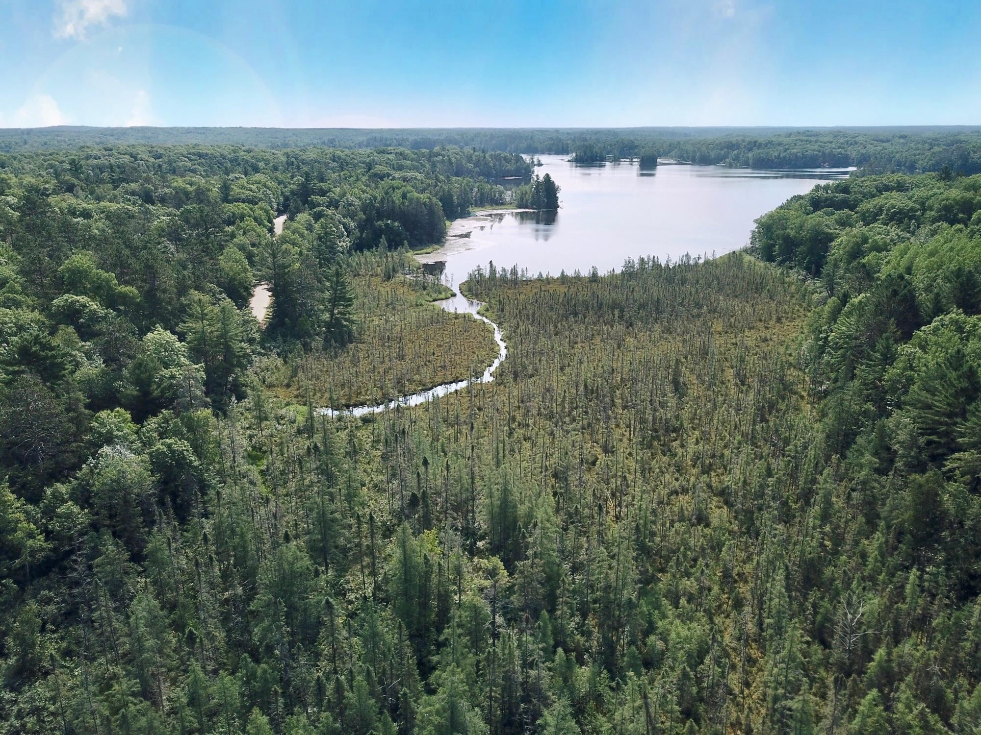 On OAK RIDGE ROAD, Harshaw, Wisconsin 54529, ,Land,For Sale,On OAK RIDGE ROAD,22603670