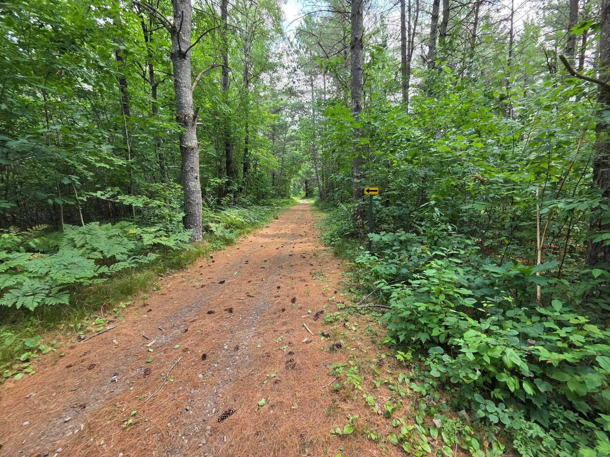 On OAK RIDGE ROAD, Harshaw, Wisconsin 54529, ,Land,For Sale,On OAK RIDGE ROAD,22603670