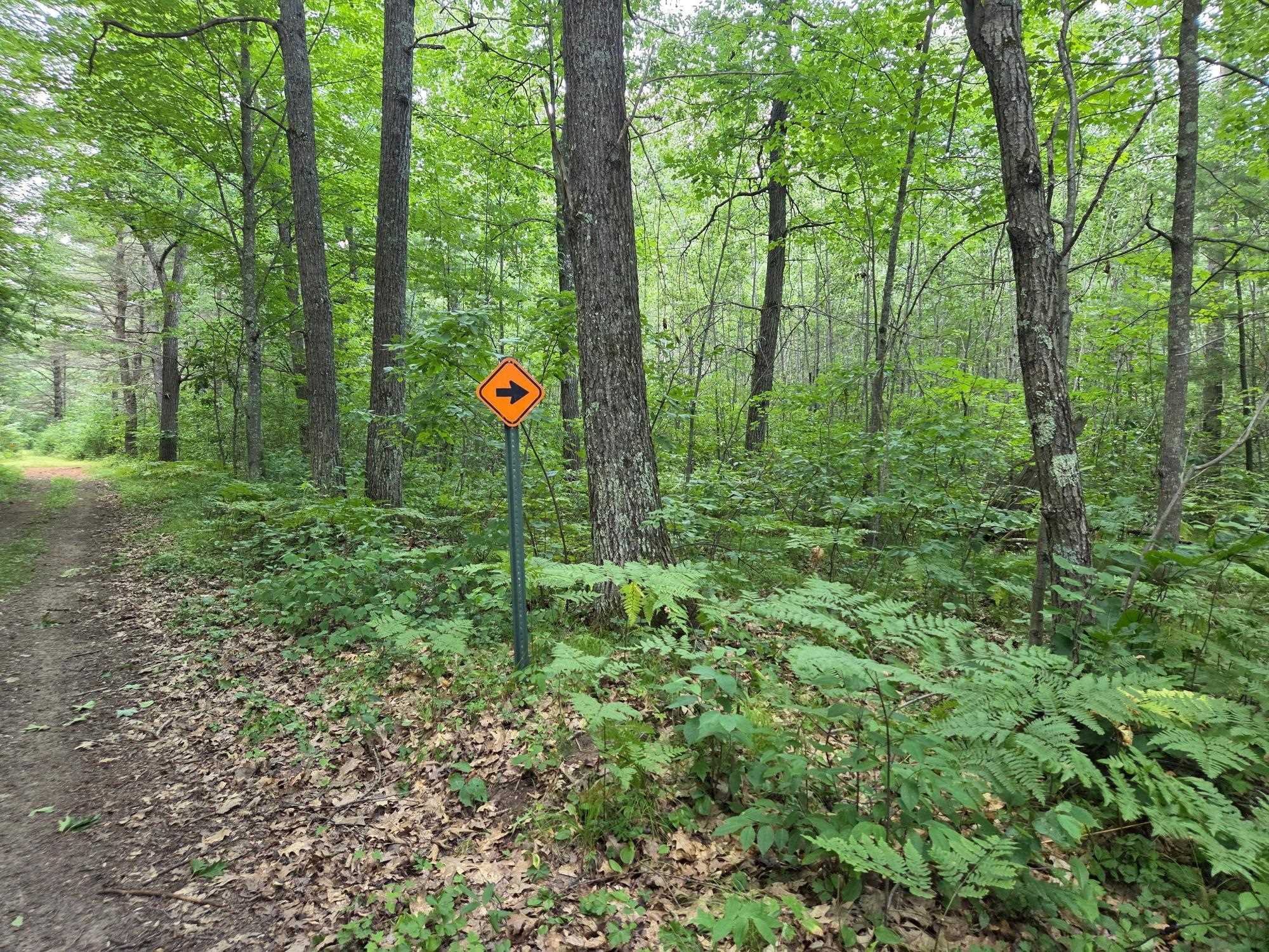 On OAK RIDGE ROAD, Harshaw, Wisconsin 54529, ,Land,For Sale,On OAK RIDGE ROAD,22603670