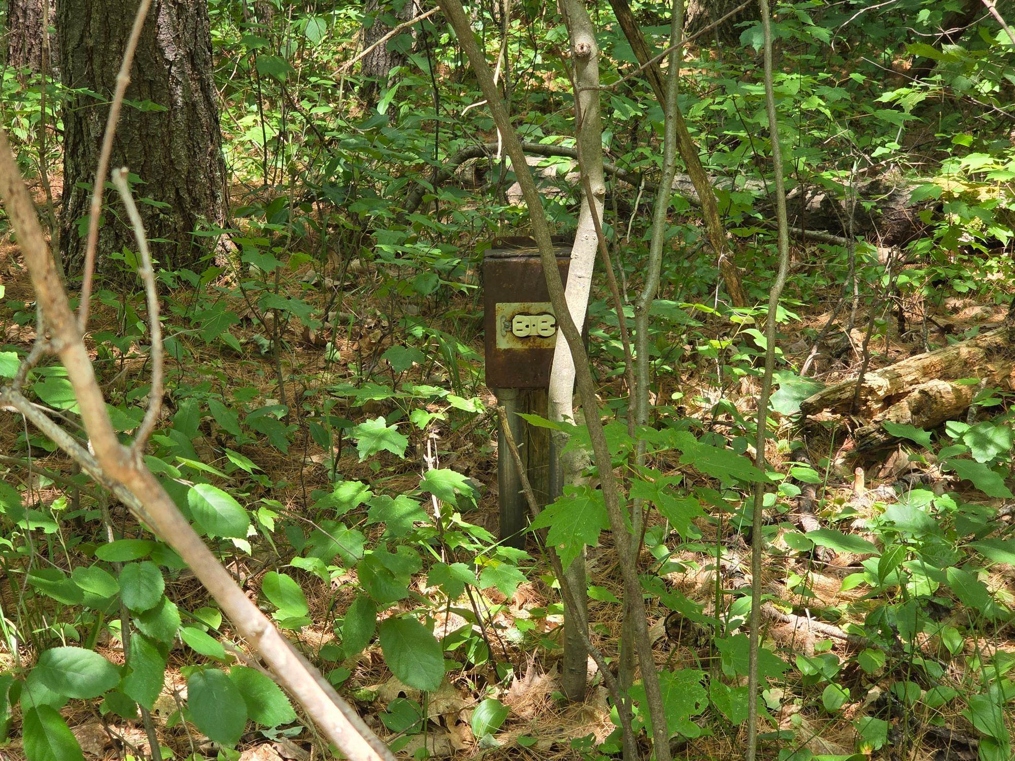 On OAK RIDGE ROAD, Harshaw, Wisconsin 54529, ,Land,For Sale,On OAK RIDGE ROAD,22603670