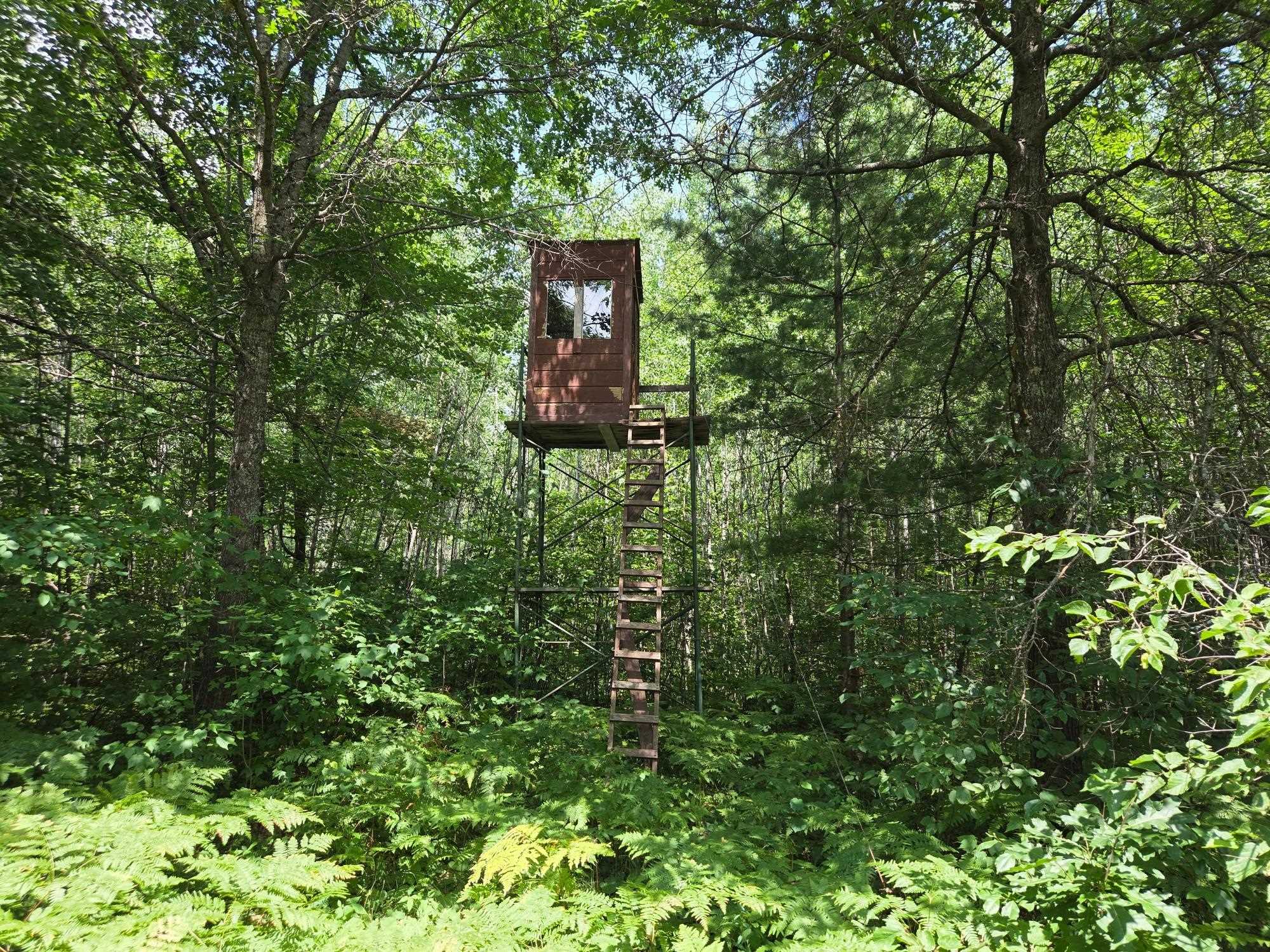 On OAK RIDGE ROAD, Harshaw, Wisconsin 54529, ,Land,For Sale,On OAK RIDGE ROAD,22603670
