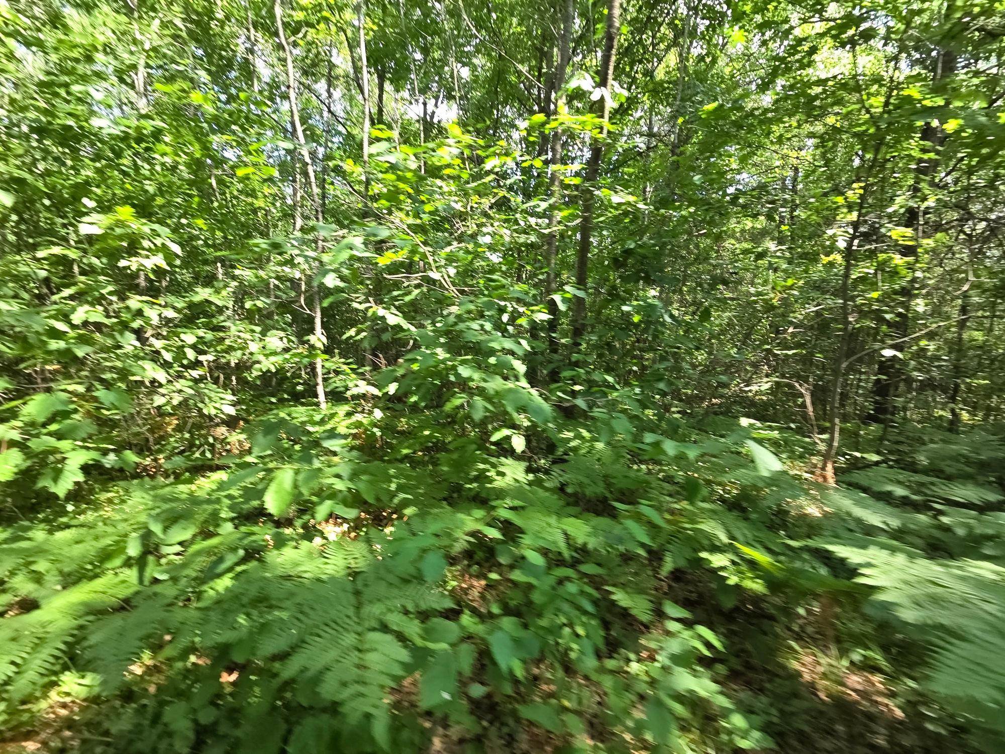 On OAK RIDGE ROAD, Harshaw, Wisconsin 54529, ,Land,For Sale,On OAK RIDGE ROAD,22603670