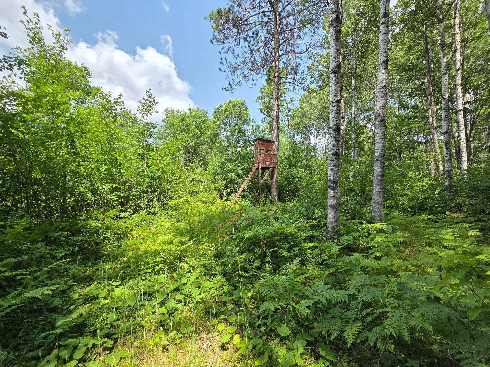 On OAK RIDGE ROAD, Harshaw, Wisconsin 54529, ,Land,For Sale,On OAK RIDGE ROAD,22603670