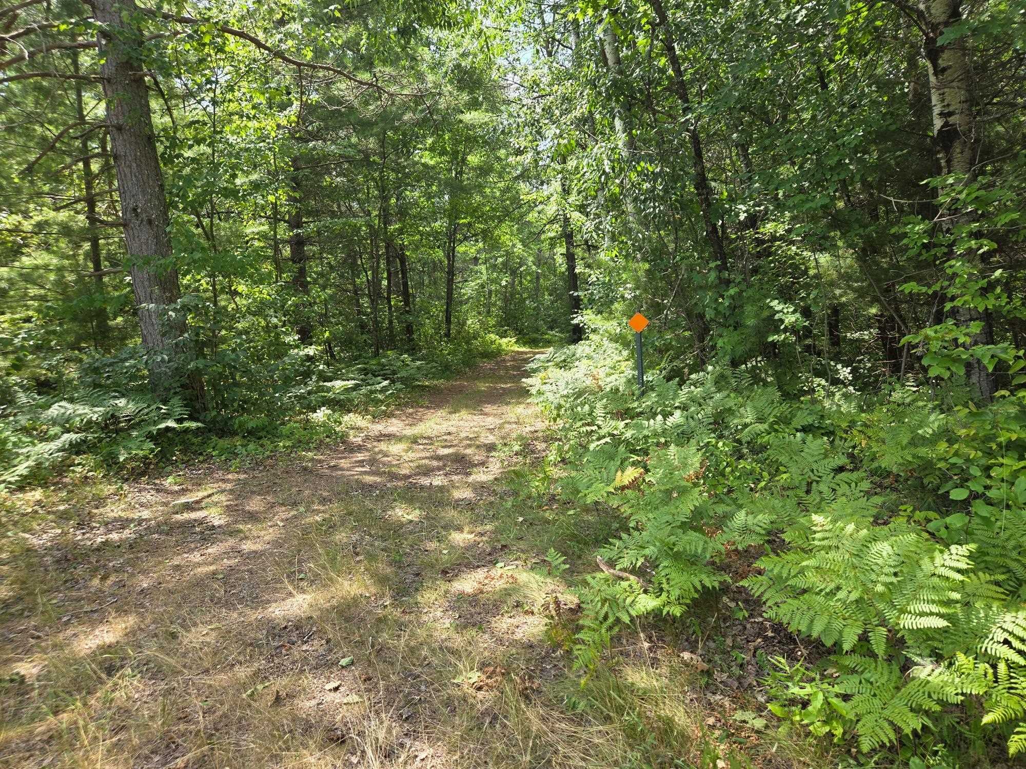 On OAK RIDGE ROAD, Harshaw, Wisconsin 54529, ,Land,For Sale,On OAK RIDGE ROAD,22603670