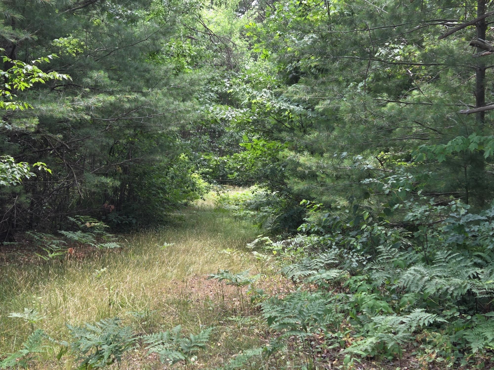 On OAK RIDGE ROAD, Harshaw, Wisconsin 54529, ,Land,For Sale,On OAK RIDGE ROAD,22603670