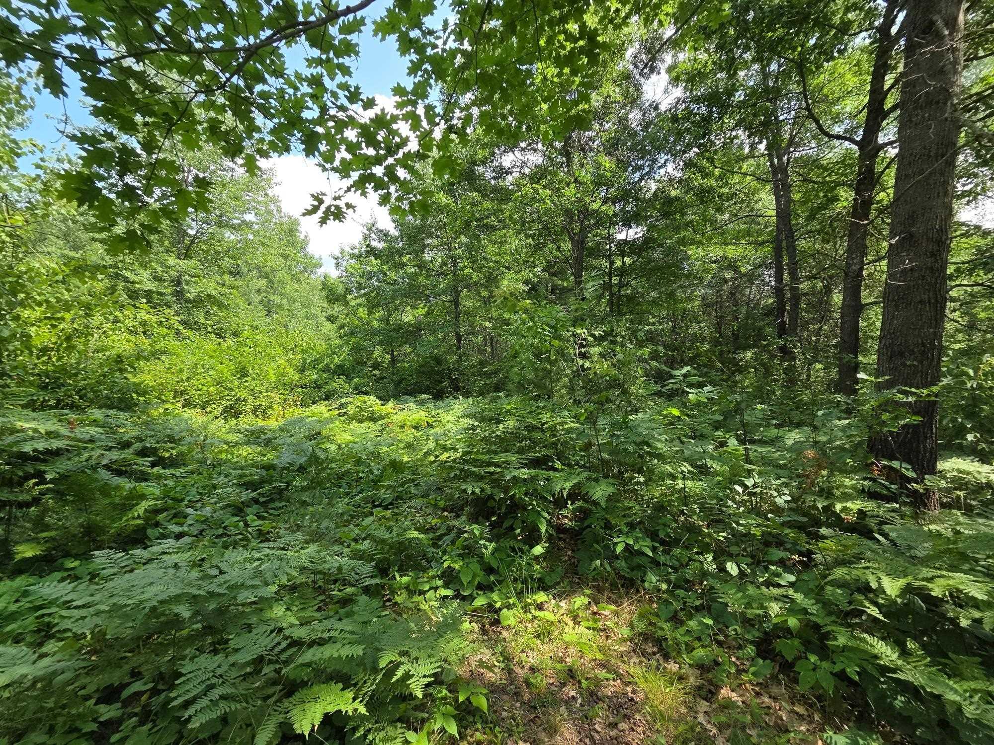On OAK RIDGE ROAD, Harshaw, Wisconsin 54529, ,Land,For Sale,On OAK RIDGE ROAD,22603670