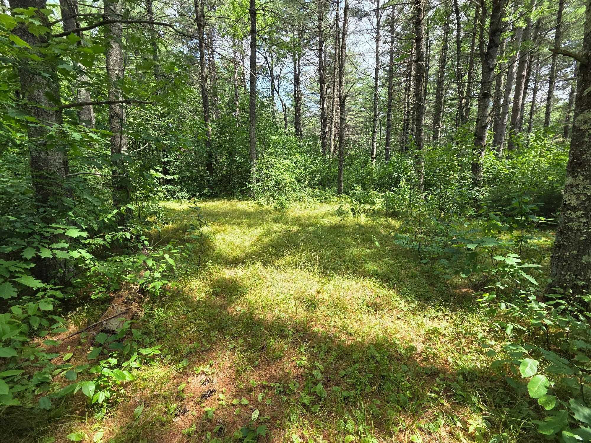 On OAK RIDGE ROAD, Harshaw, Wisconsin 54529, ,Land,For Sale,On OAK RIDGE ROAD,22603670