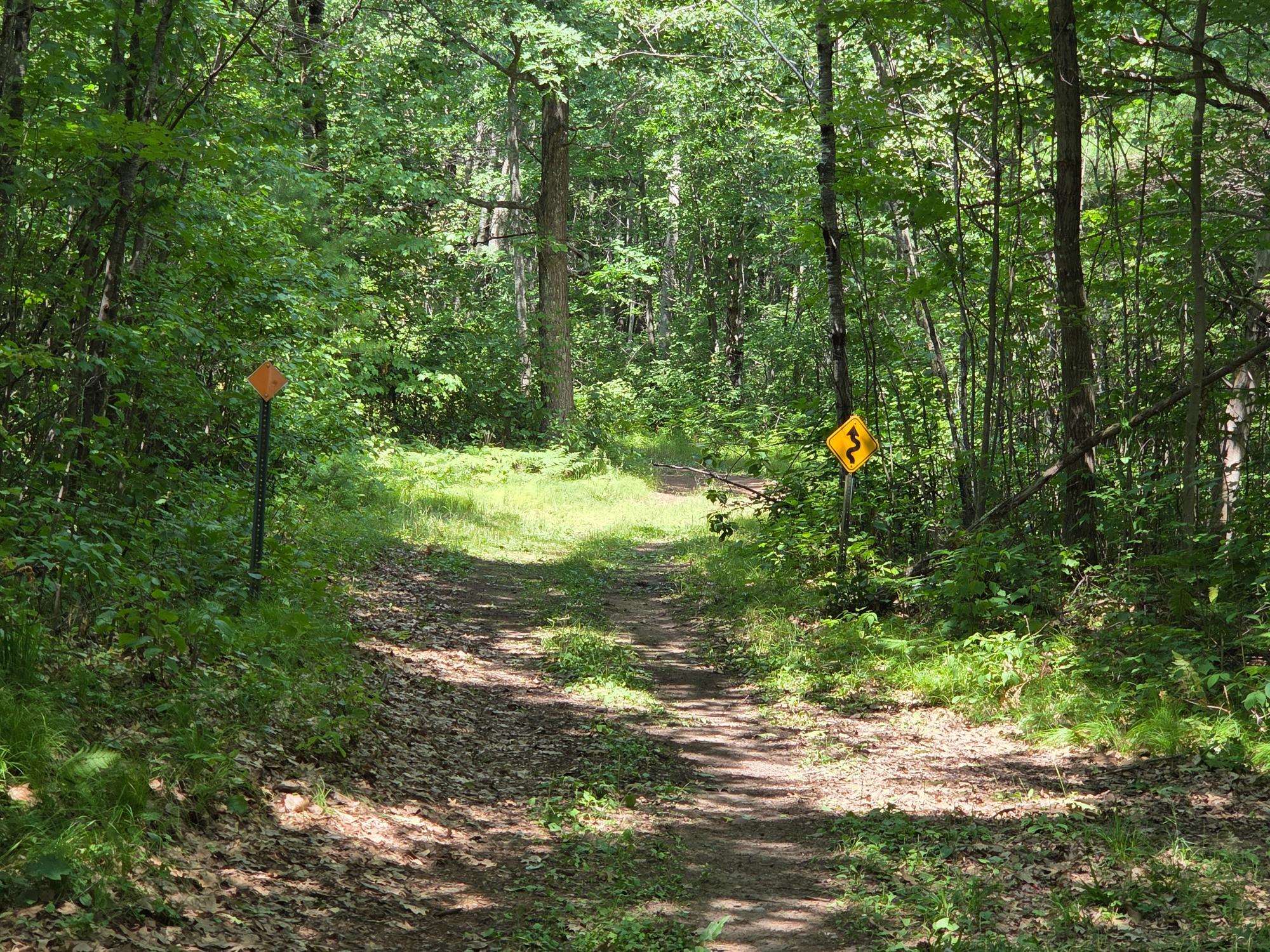 On OAK RIDGE ROAD, Harshaw, Wisconsin 54529, ,Land,For Sale,On OAK RIDGE ROAD,22603670