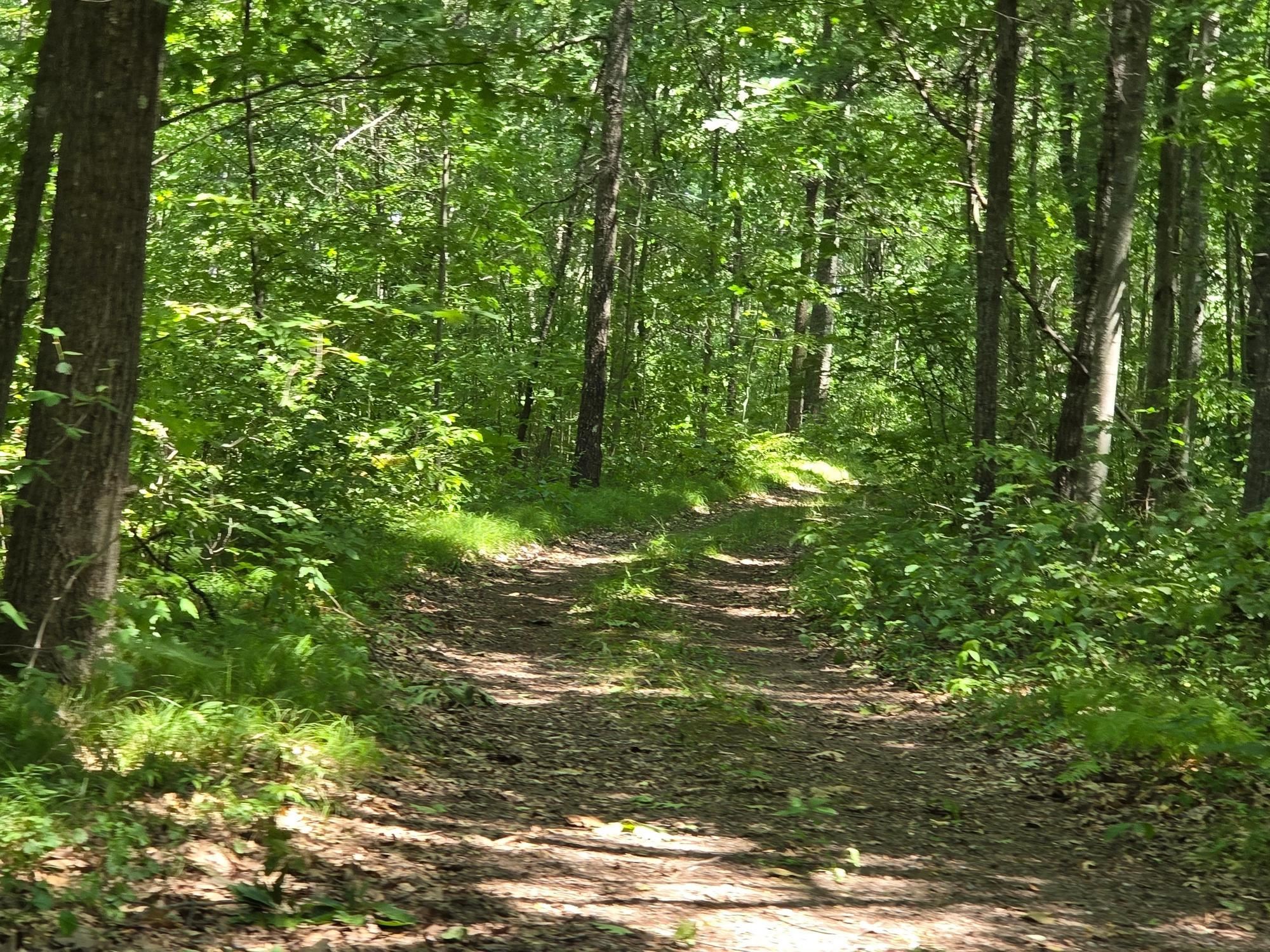 On OAK RIDGE ROAD, Harshaw, Wisconsin 54529, ,Land,For Sale,On OAK RIDGE ROAD,22603670