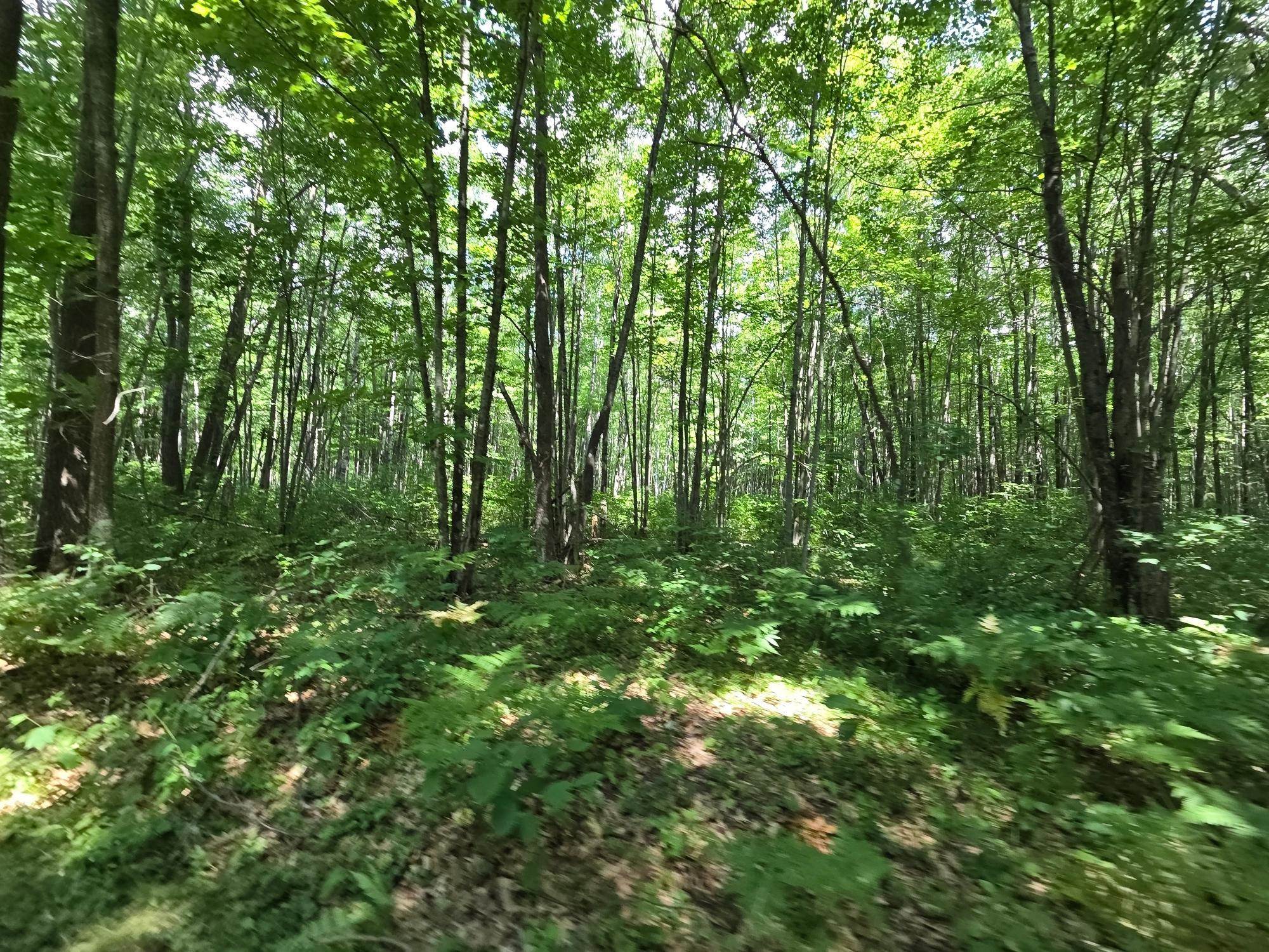 On OAK RIDGE ROAD, Harshaw, Wisconsin 54529, ,Land,For Sale,On OAK RIDGE ROAD,22603670