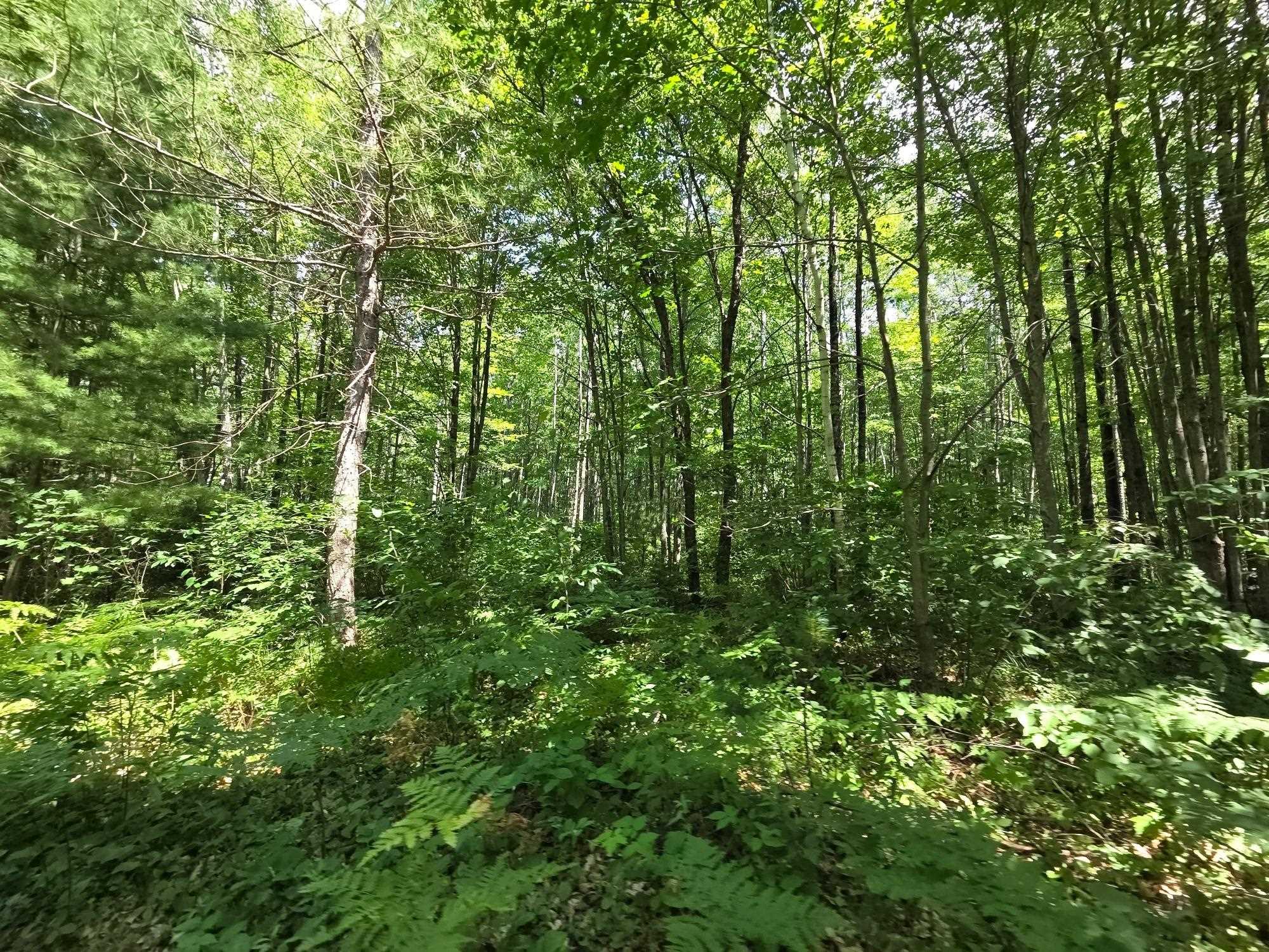On OAK RIDGE ROAD, Harshaw, Wisconsin 54529, ,Land,For Sale,On OAK RIDGE ROAD,22603670