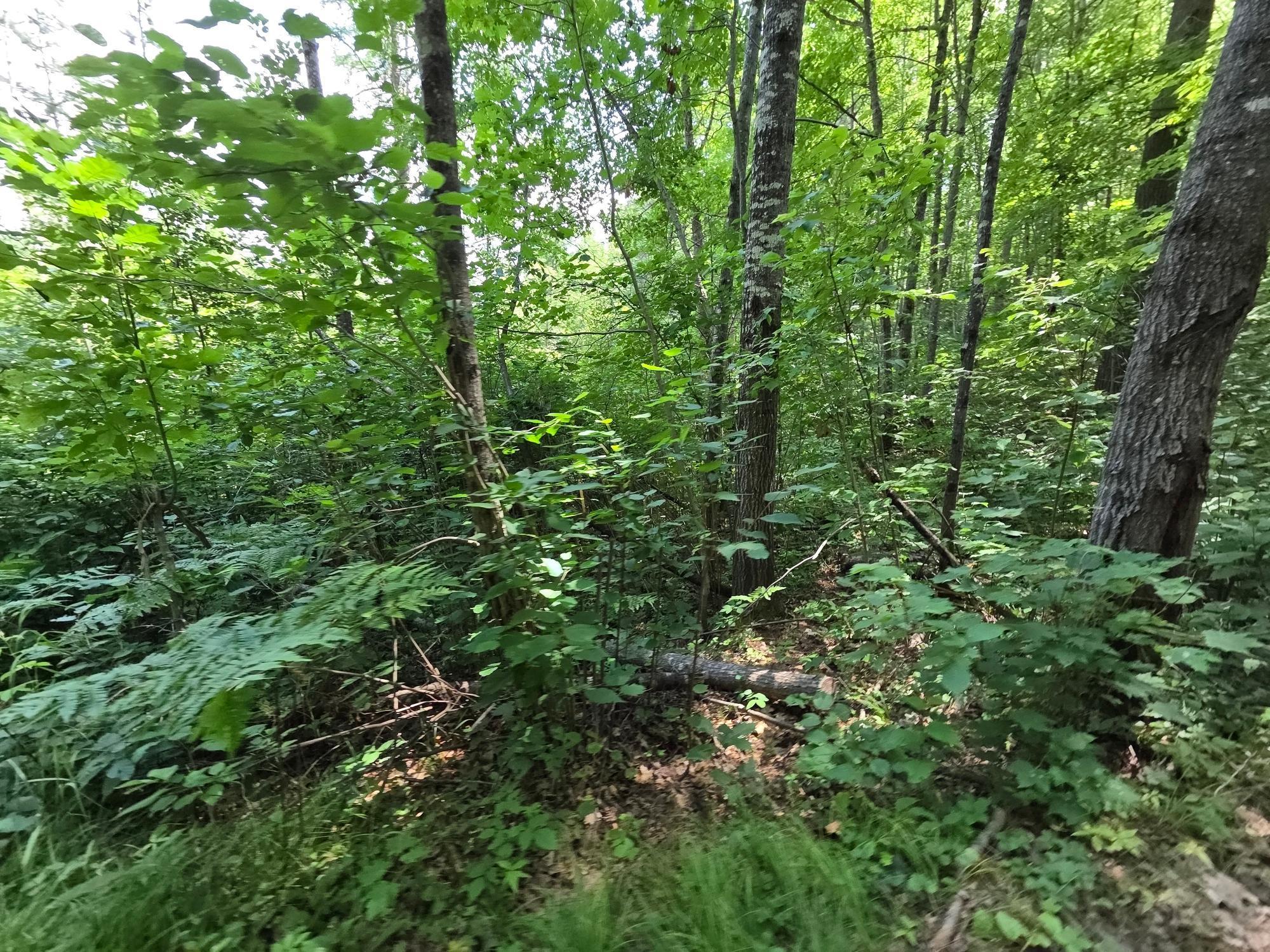 On OAK RIDGE ROAD, Harshaw, Wisconsin 54529, ,Land,For Sale,On OAK RIDGE ROAD,22603670