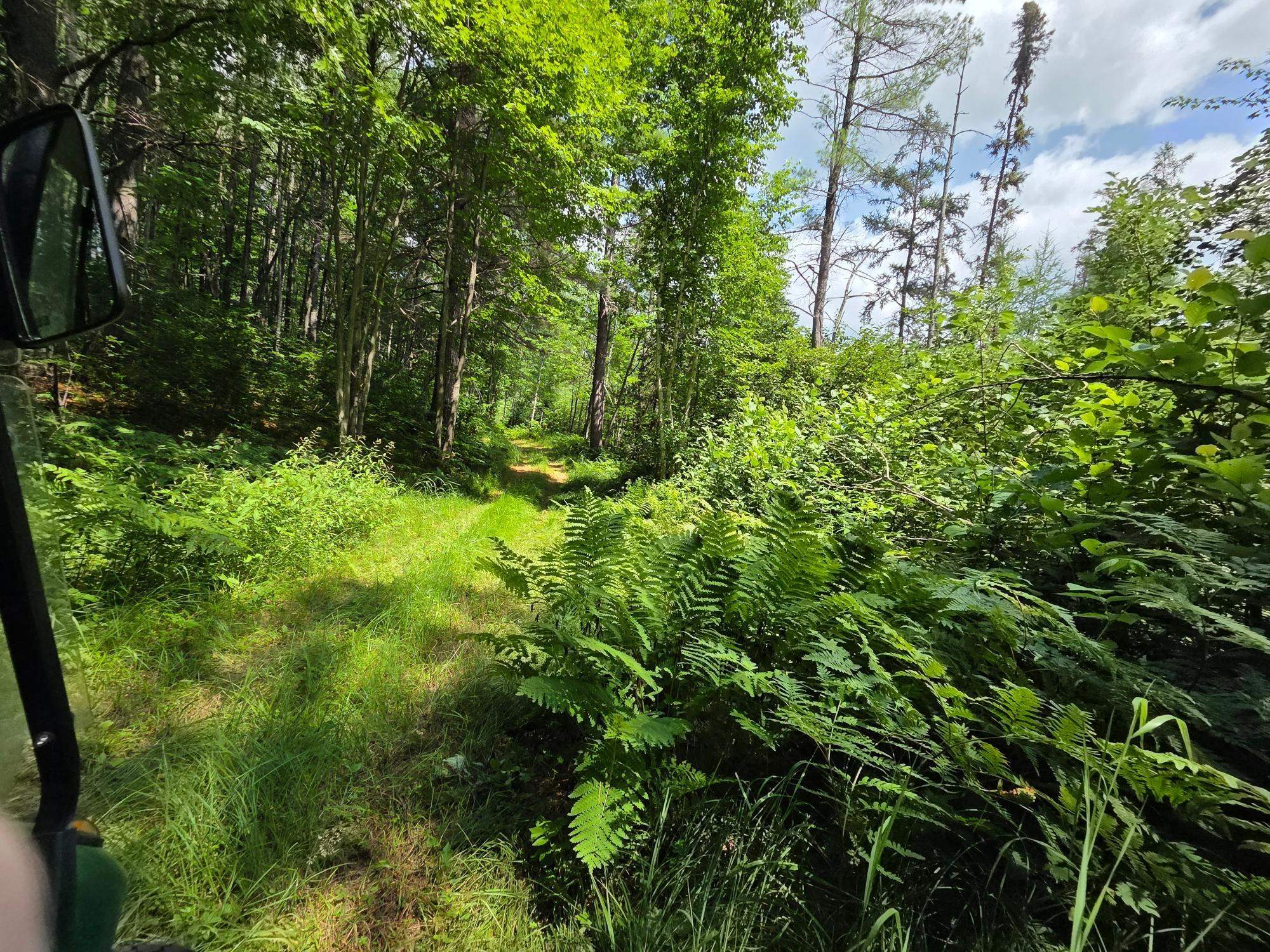 On OAK RIDGE ROAD, Harshaw, Wisconsin 54529, ,Land,For Sale,On OAK RIDGE ROAD,22603670