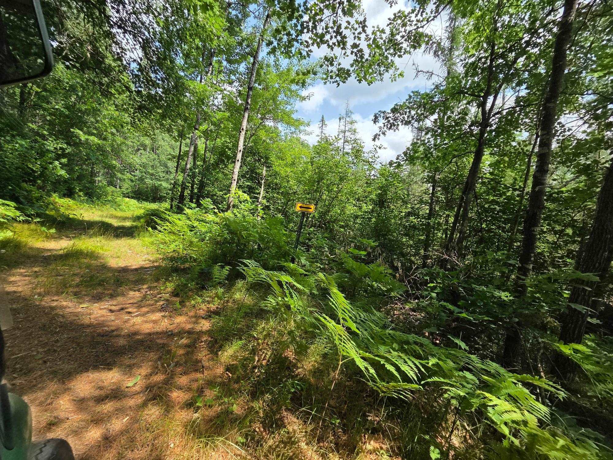 On OAK RIDGE ROAD, Harshaw, Wisconsin 54529, ,Land,For Sale,On OAK RIDGE ROAD,22603670