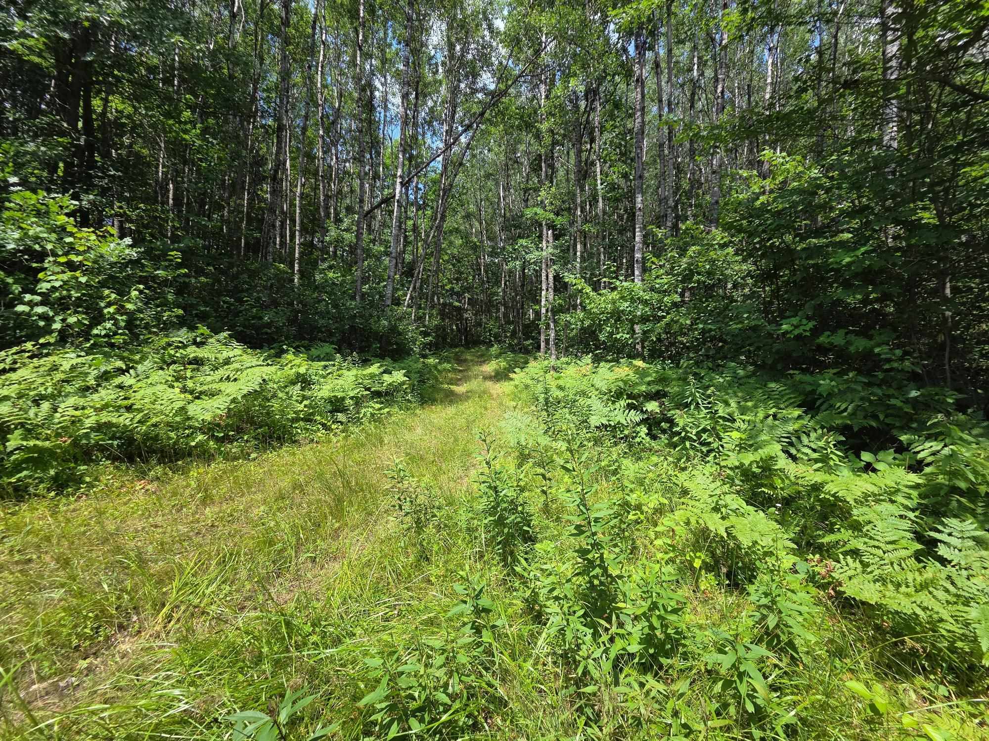 On OAK RIDGE ROAD, Harshaw, Wisconsin 54529, ,Land,For Sale,On OAK RIDGE ROAD,22603670