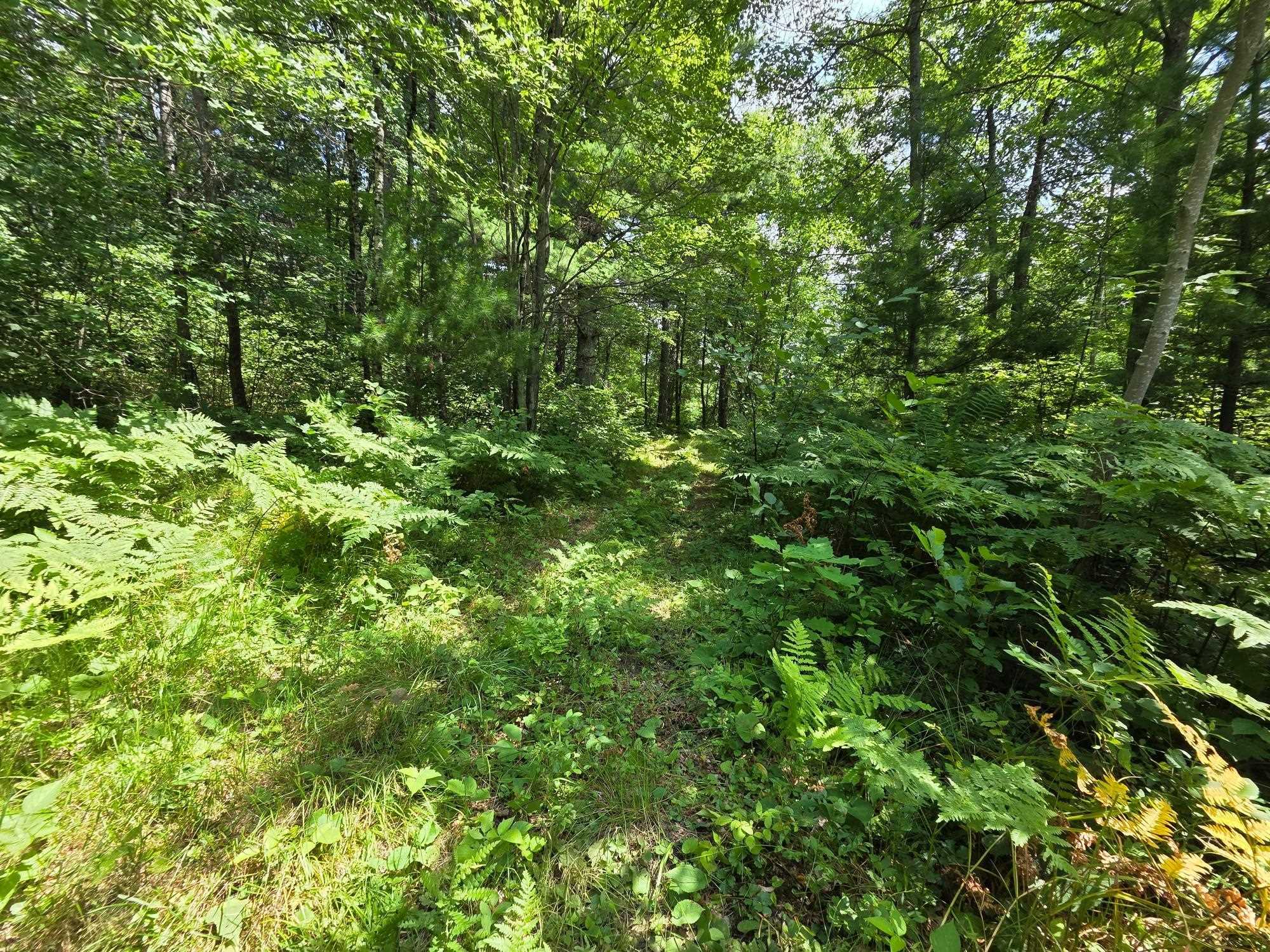 On OAK RIDGE ROAD, Harshaw, Wisconsin 54529, ,Land,For Sale,On OAK RIDGE ROAD,22603670