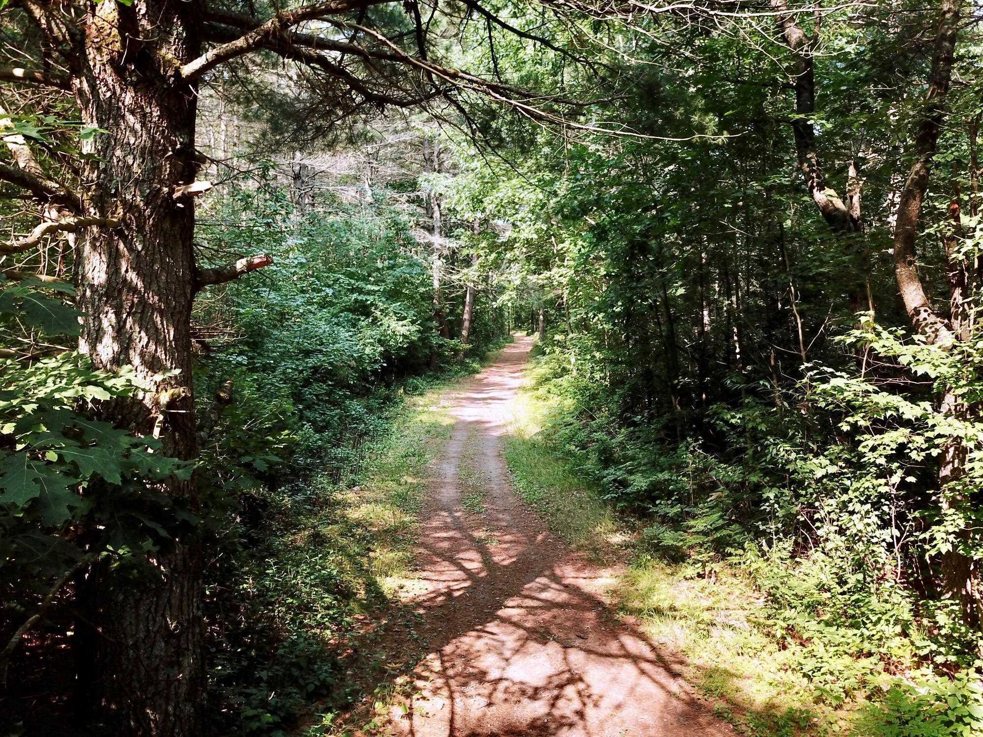 On OAK RIDGE ROAD, Harshaw, Wisconsin 54529, ,Land,For Sale,On OAK RIDGE ROAD,22603670