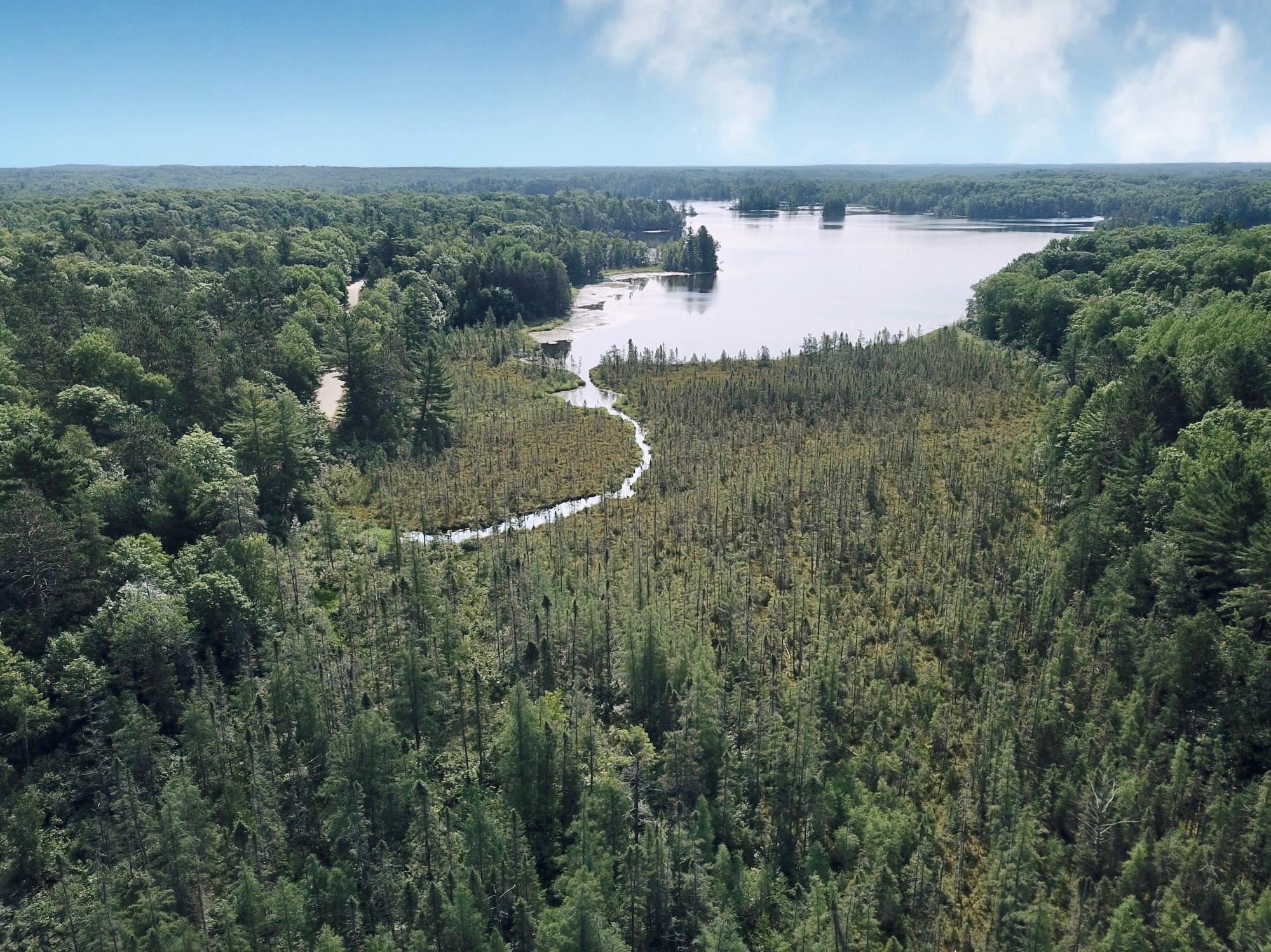 On OAK RIDGE ROAD, Harshaw, Wisconsin 54529, ,Land,For Sale,On OAK RIDGE ROAD,22603670