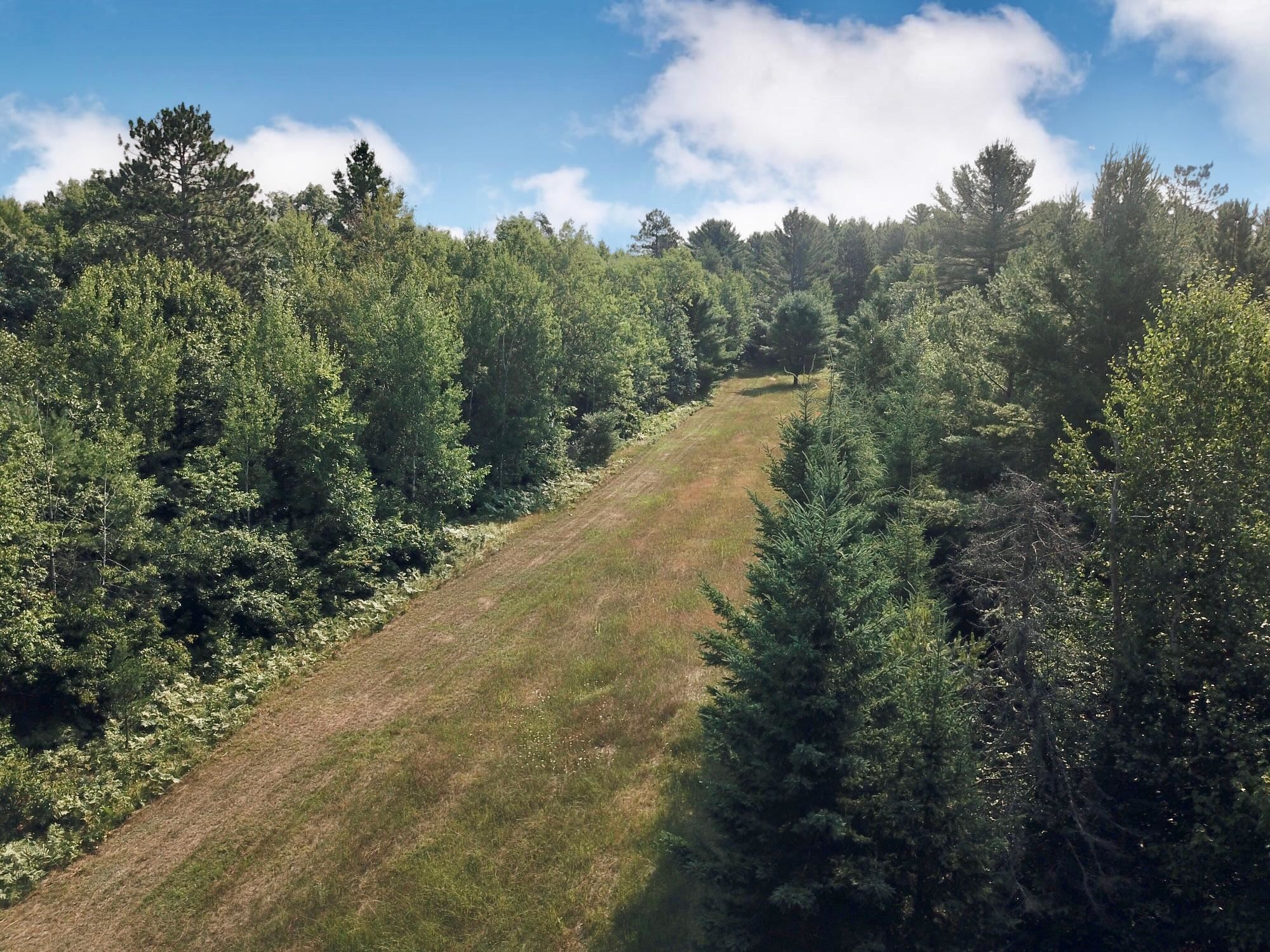 On OAK RIDGE ROAD, Harshaw, Wisconsin 54529, ,Land,For Sale,On OAK RIDGE ROAD,22603670