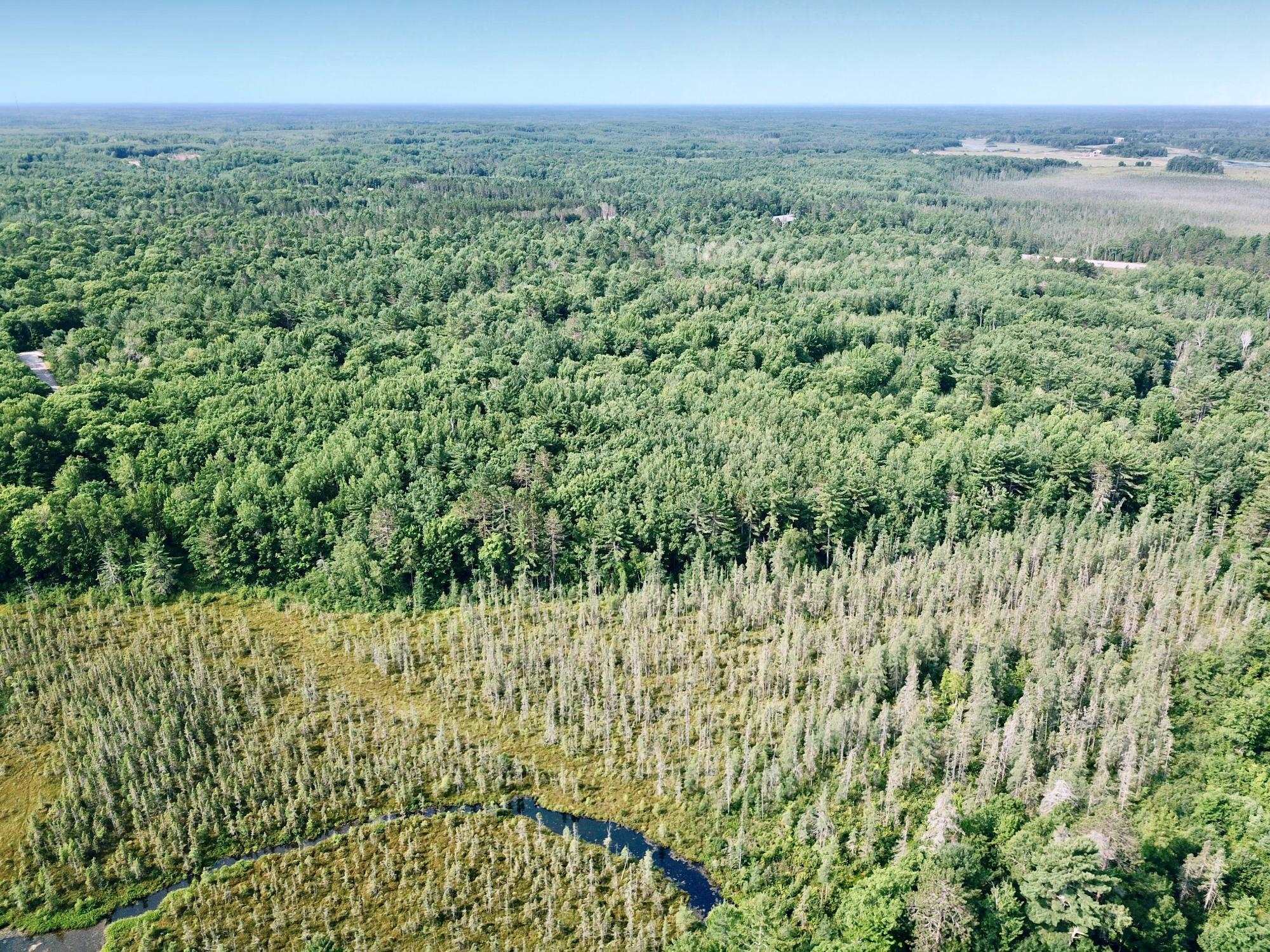 On OAK RIDGE ROAD, Harshaw, Wisconsin 54529, ,Land,For Sale,On OAK RIDGE ROAD,22603670