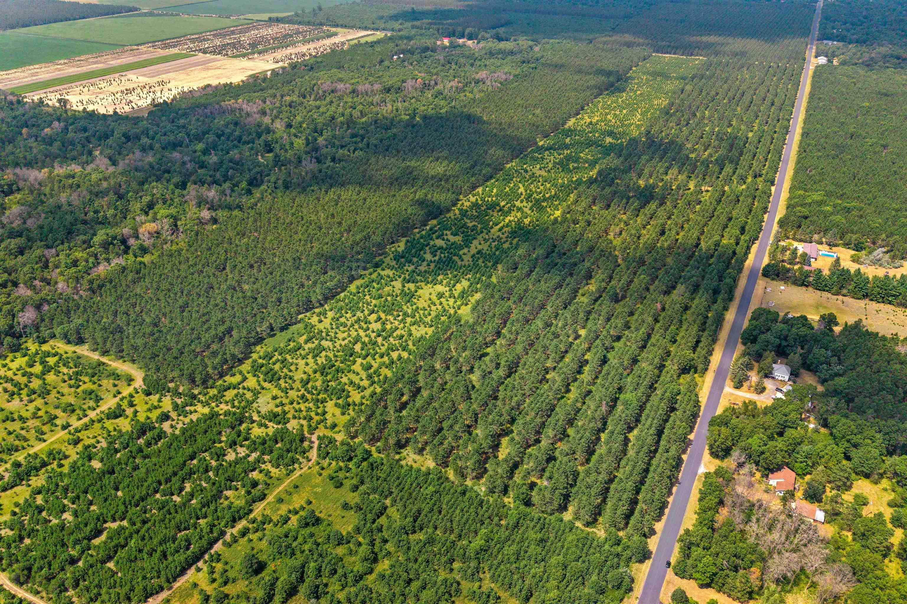 10 Acres BELL ROAD, Wisconsin Rapids, Wisconsin 54494, ,Land,For Sale,10 Acres BELL ROAD,22603676