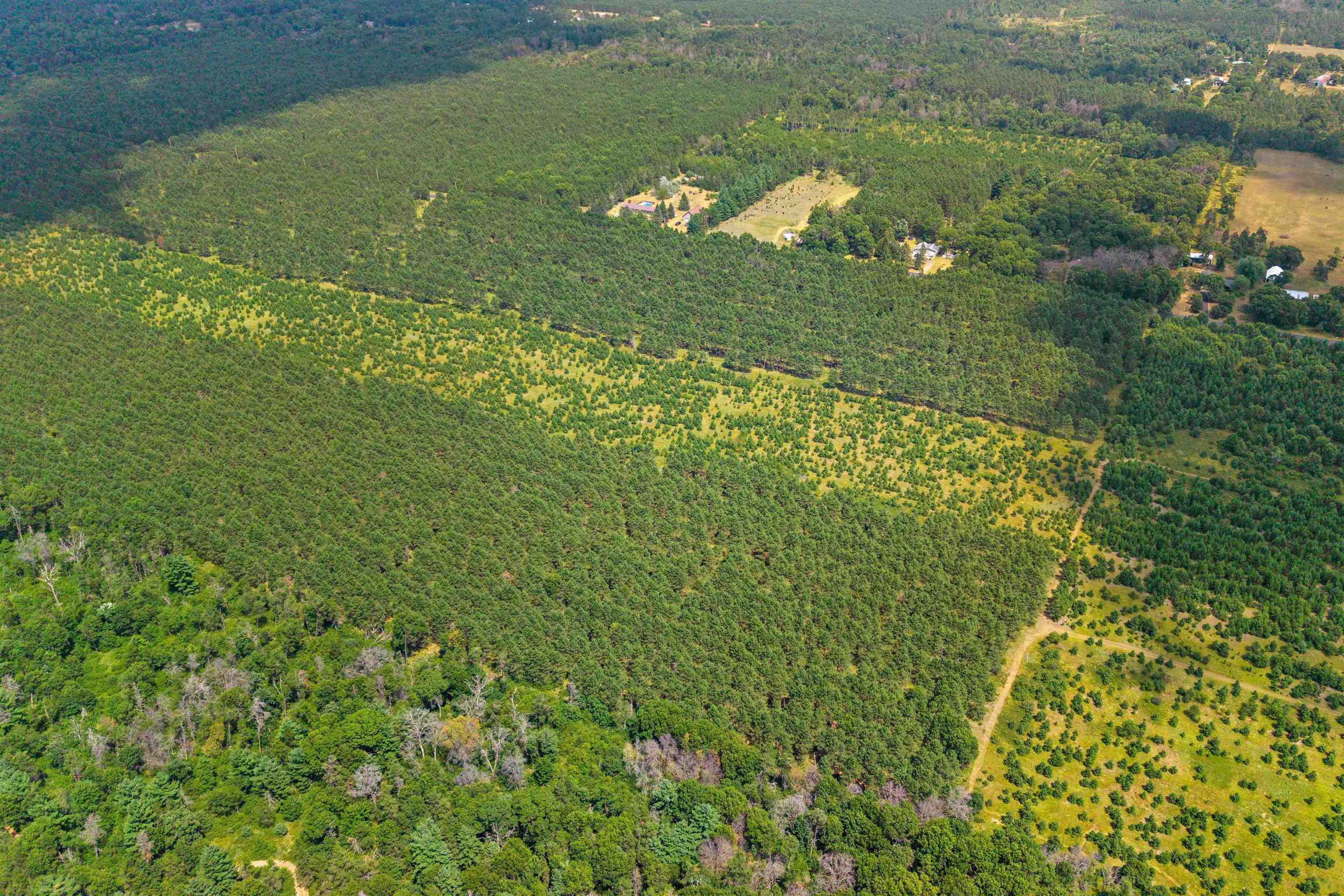 10 Acres BELL ROAD, Wisconsin Rapids, Wisconsin 54494, ,Land,For Sale,10 Acres BELL ROAD,22603676