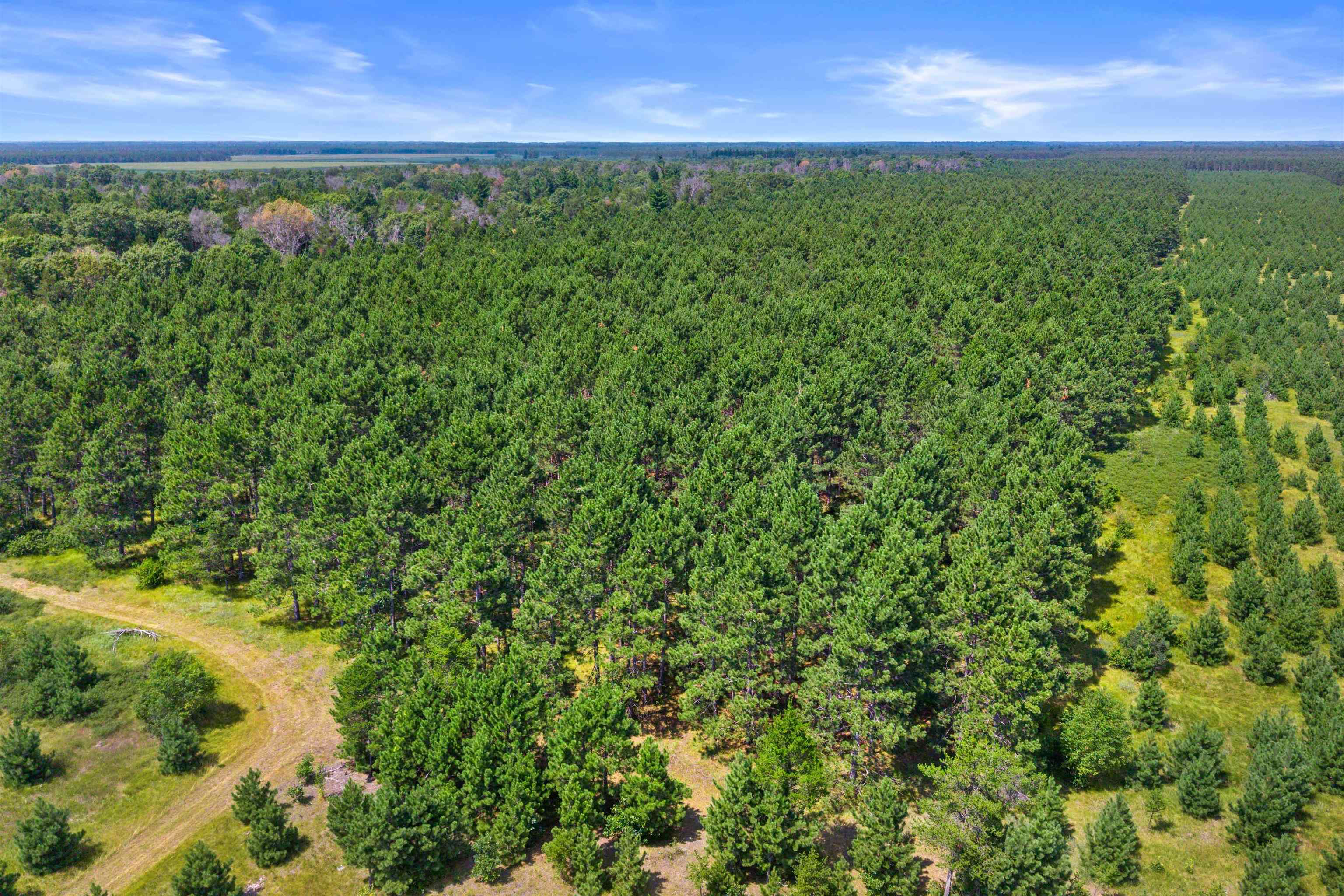 10 Acres BELL ROAD, Wisconsin Rapids, Wisconsin 54494, ,Land,For Sale,10 Acres BELL ROAD,22603676