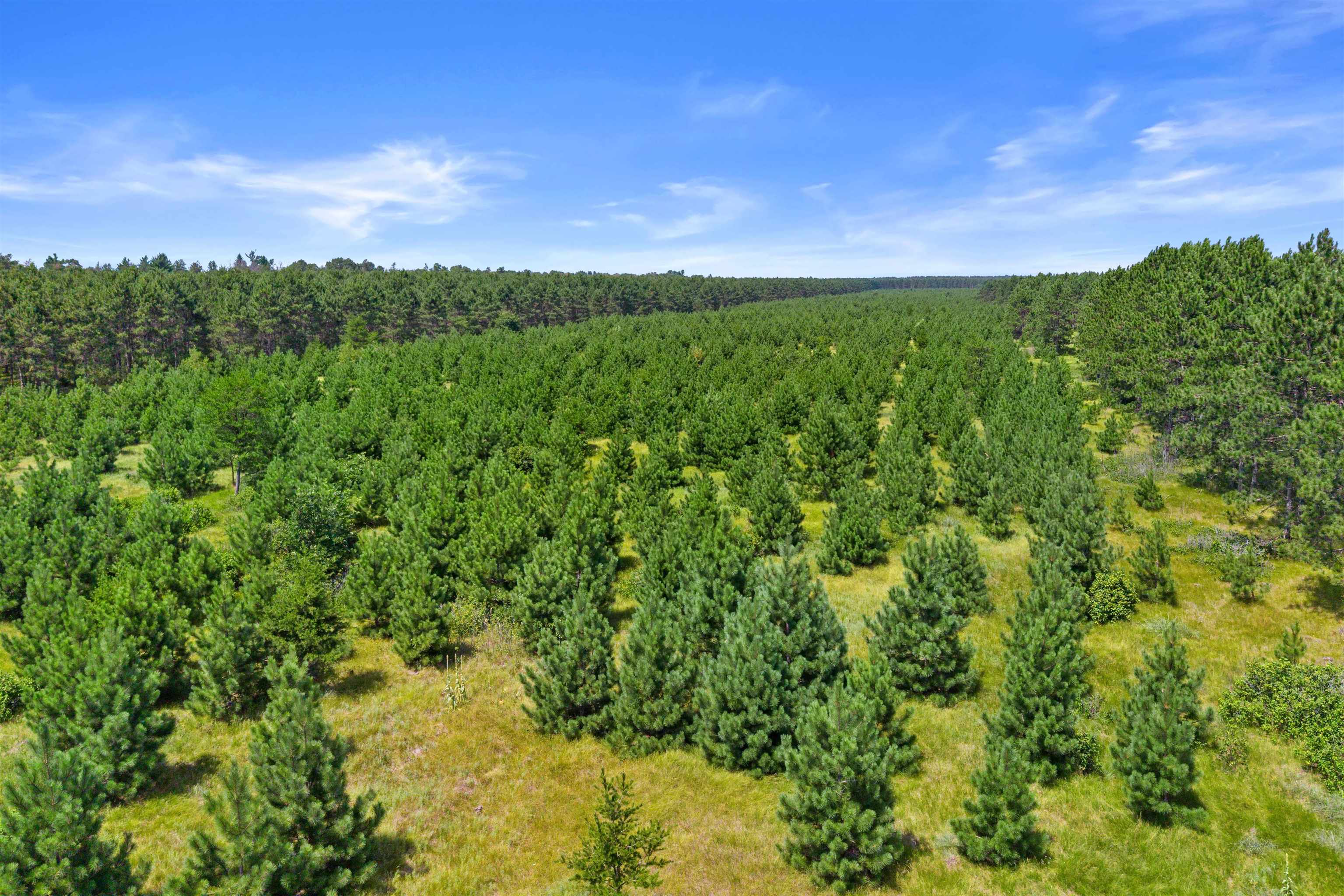 10 Acres BELL ROAD, Wisconsin Rapids, Wisconsin 54494, ,Land,For Sale,10 Acres BELL ROAD,22603676