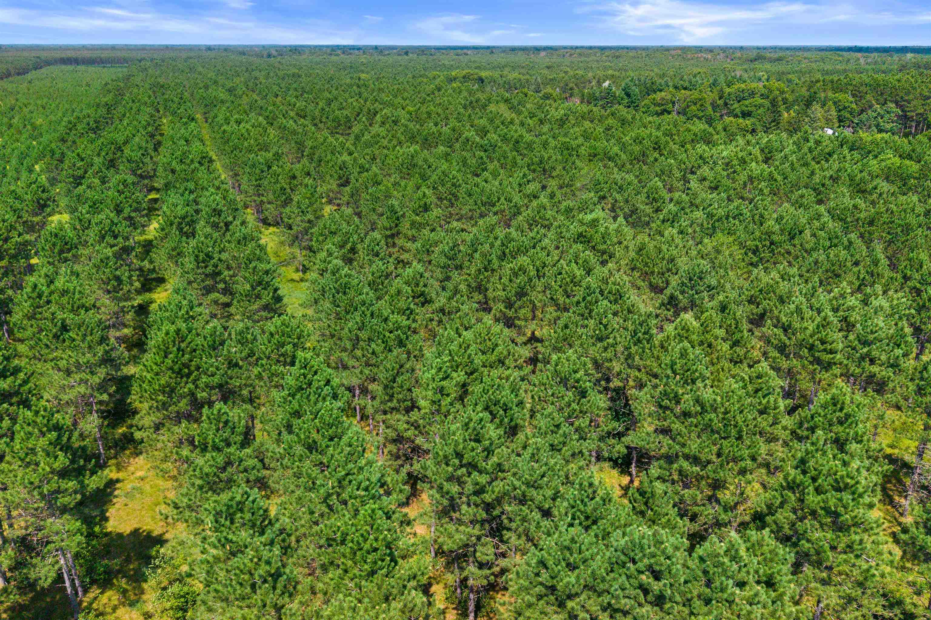 10 Acres BELL ROAD, Wisconsin Rapids, Wisconsin 54494, ,Land,For Sale,10 Acres BELL ROAD,22603676
