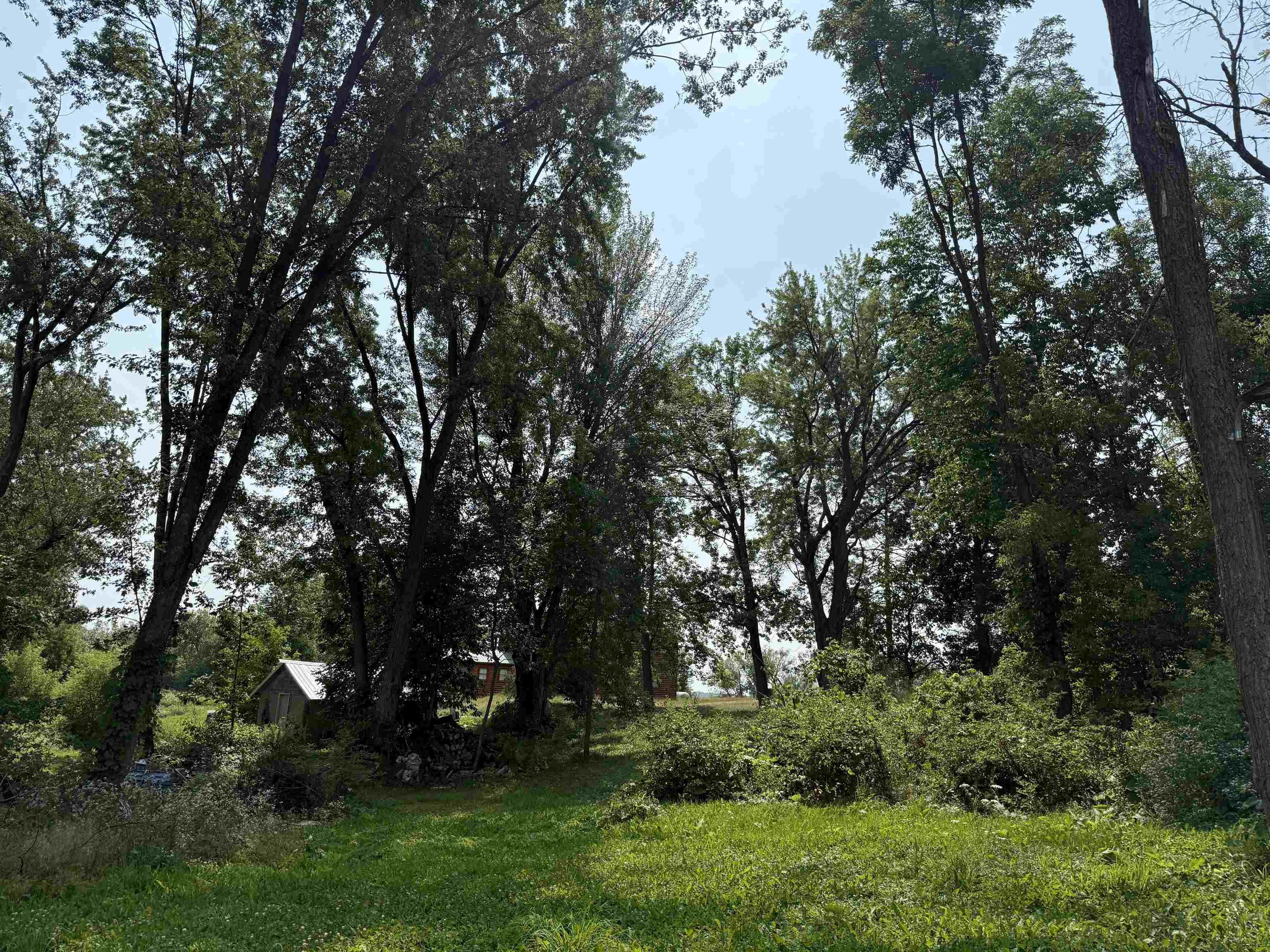 183247 BEECKMAN STREET, Birnamwood, Wisconsin 54414, 1 Bedroom Bedrooms, ,1 BathroomBathrooms,Residential,For Sale,183247 BEECKMAN STREET,22603683