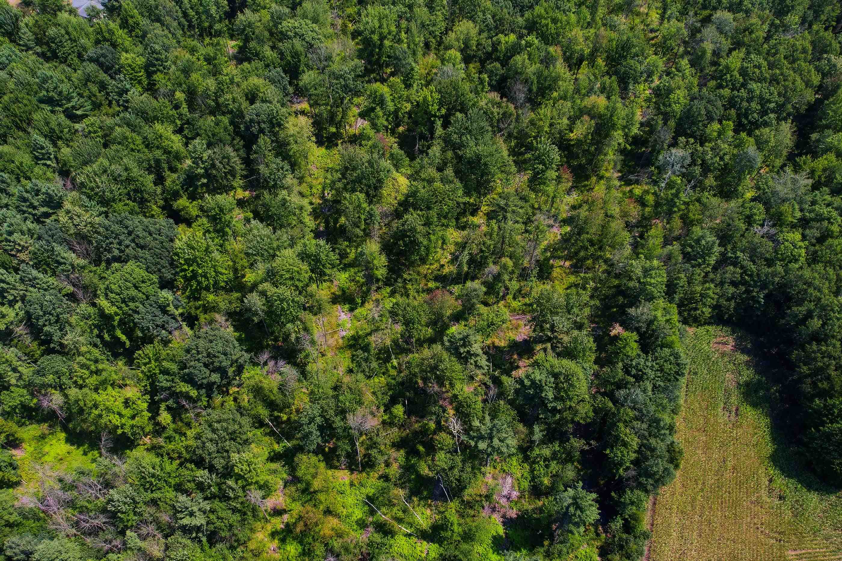 27.82 acres MOL SUNSET DRIVE, Stevens Point, Wisconsin 54482, ,Land,For Sale,27.82 acres MOL SUNSET DRIVE,22603695