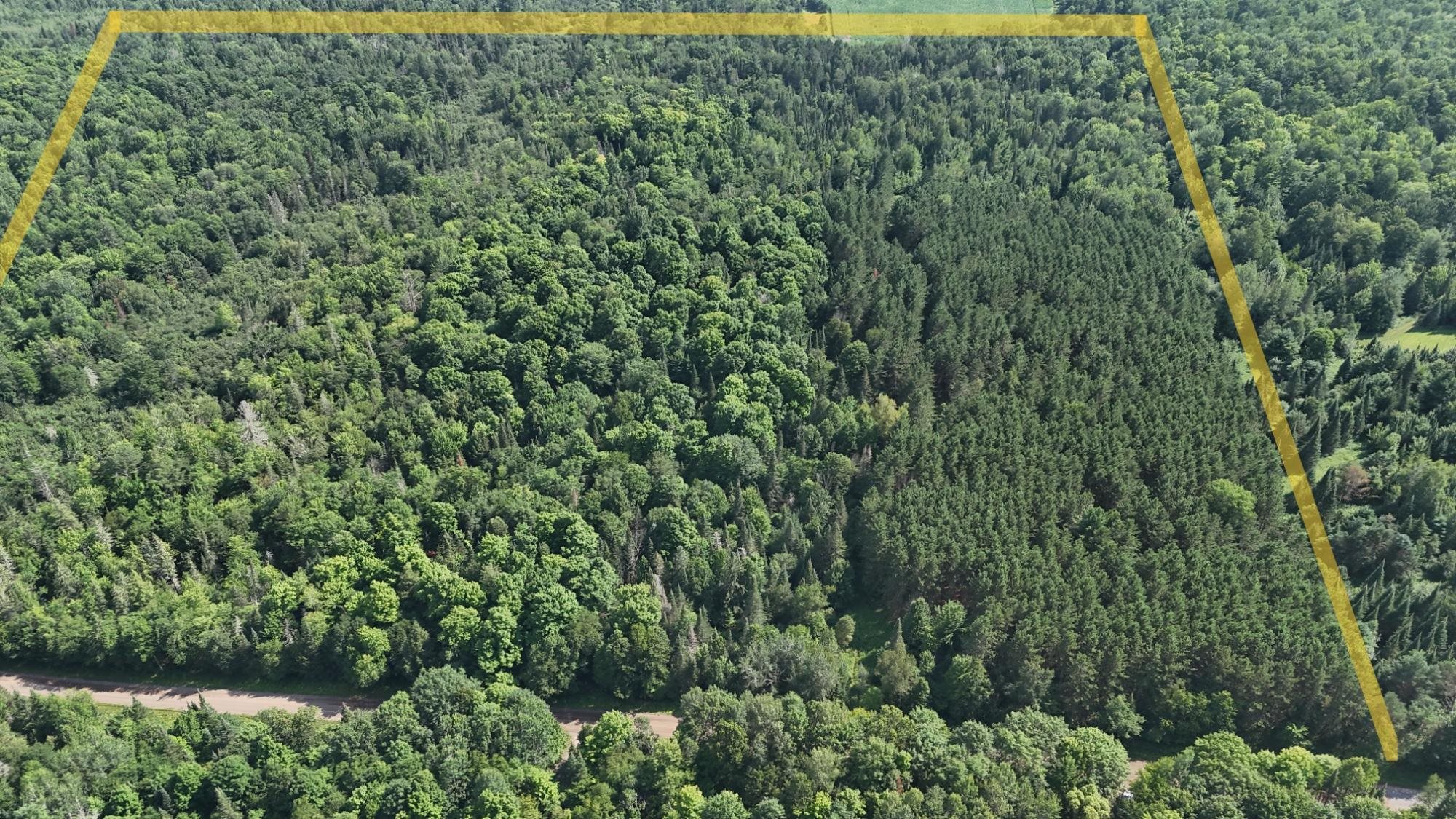 40 Ac SUNRISE ROAD, Merrill, Wisconsin 54452, ,Land,For Sale,40 Ac SUNRISE ROAD,22603705