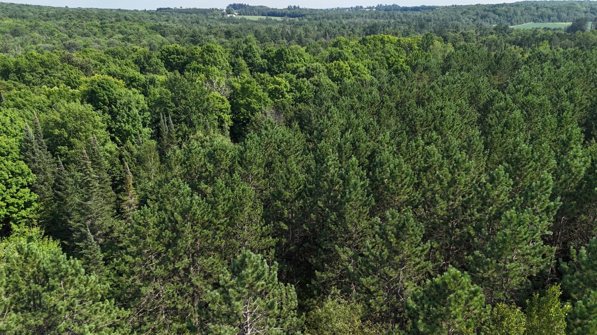 40 Ac SUNRISE ROAD, Merrill, Wisconsin 54452, ,Land,For Sale,40 Ac SUNRISE ROAD,22603705