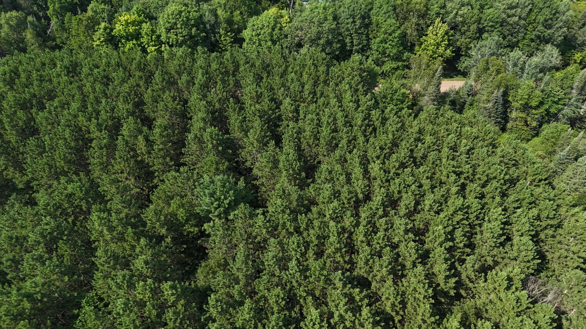 40 Ac SUNRISE ROAD, Merrill, Wisconsin 54452, ,Land,For Sale,40 Ac SUNRISE ROAD,22603705
